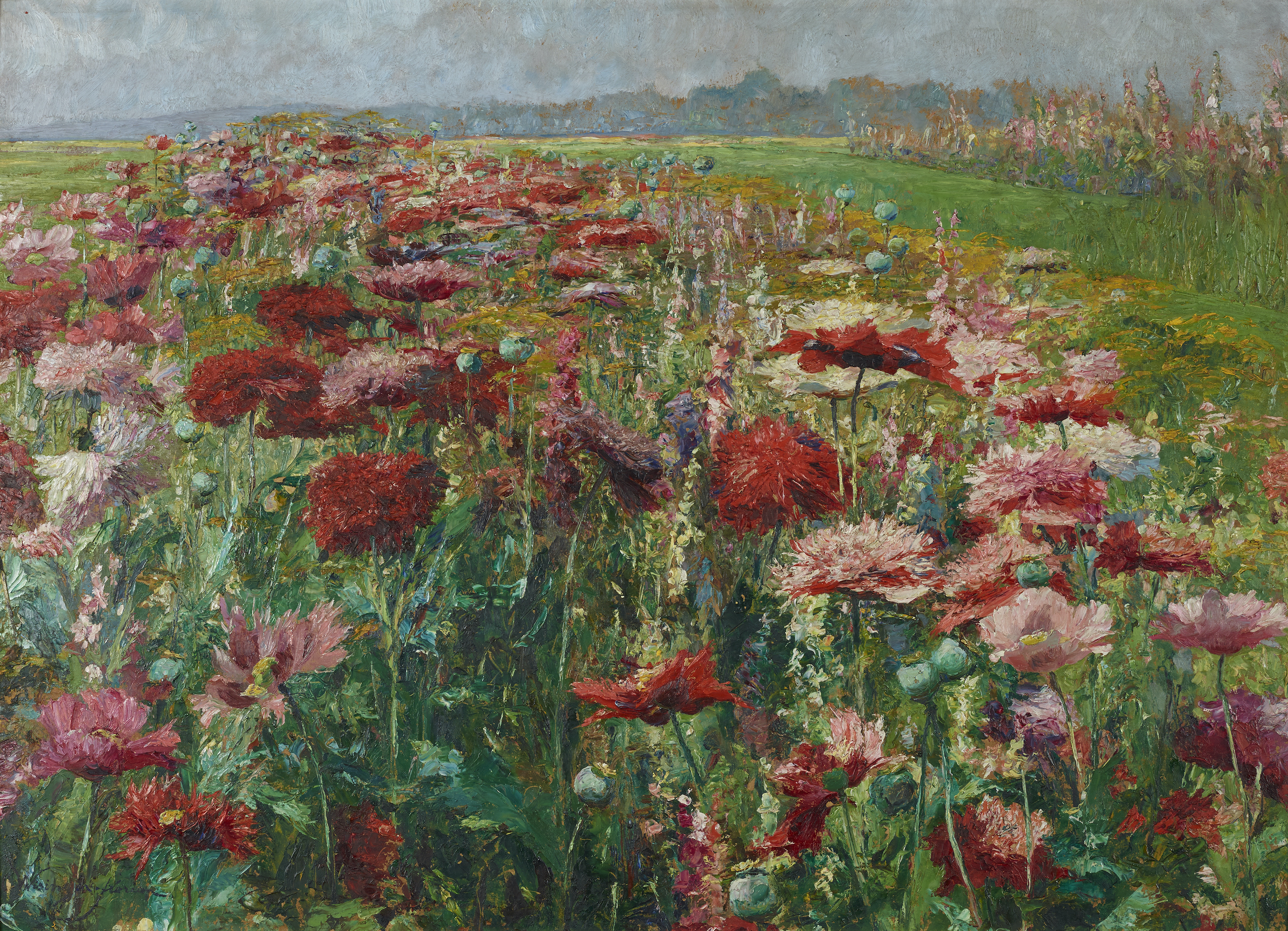 Blooming Poppy by Olga Wisinger-Florian - c. 1895/1900 - 70 x 98 cm Österreichische Galerie Belvedere