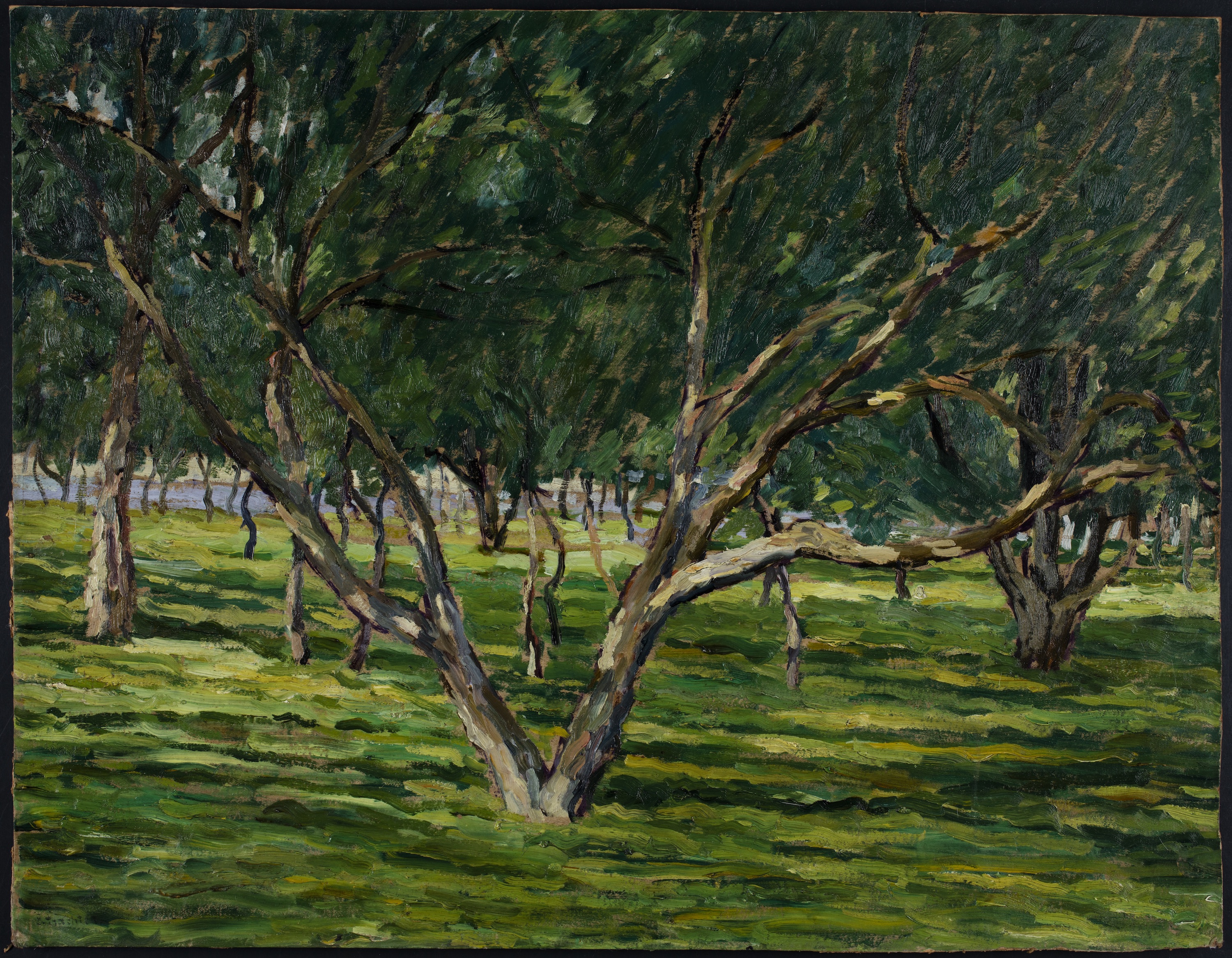 Orchard by Symche Trachter - c. 1928 - 57 x 73 cm Jewish Historical Institute