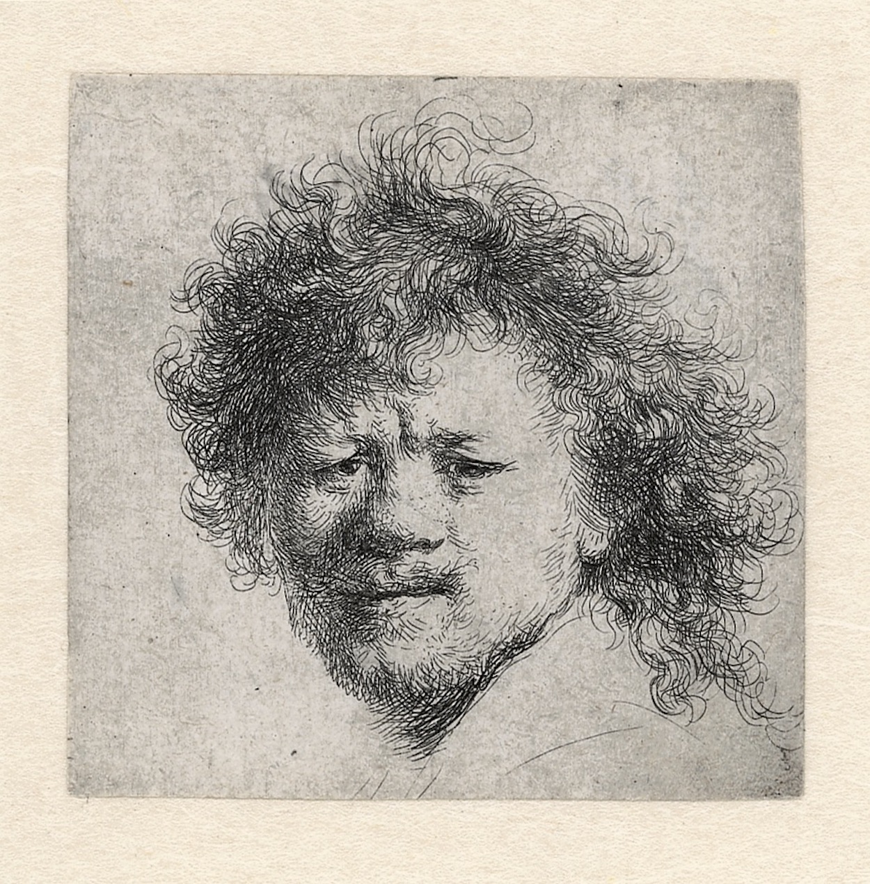 Dağınık Saçlı Otoportre (orig. "Self-Portrait with Bushy Hair") by Rembrandt van Rijn - 1631 civarı - 90 × 76 mm 