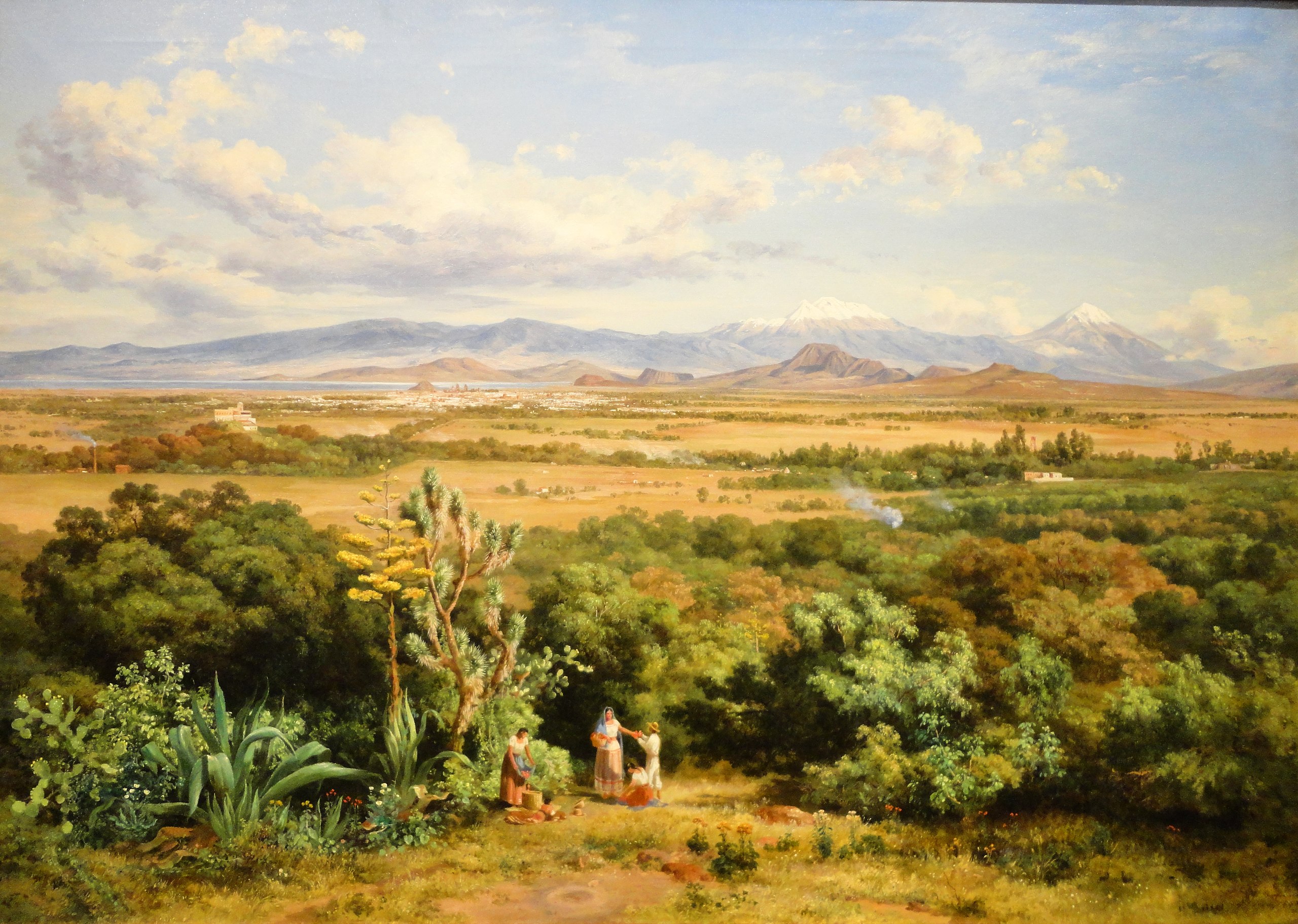 メキシコの低地 by José María Velasco - 1888年 