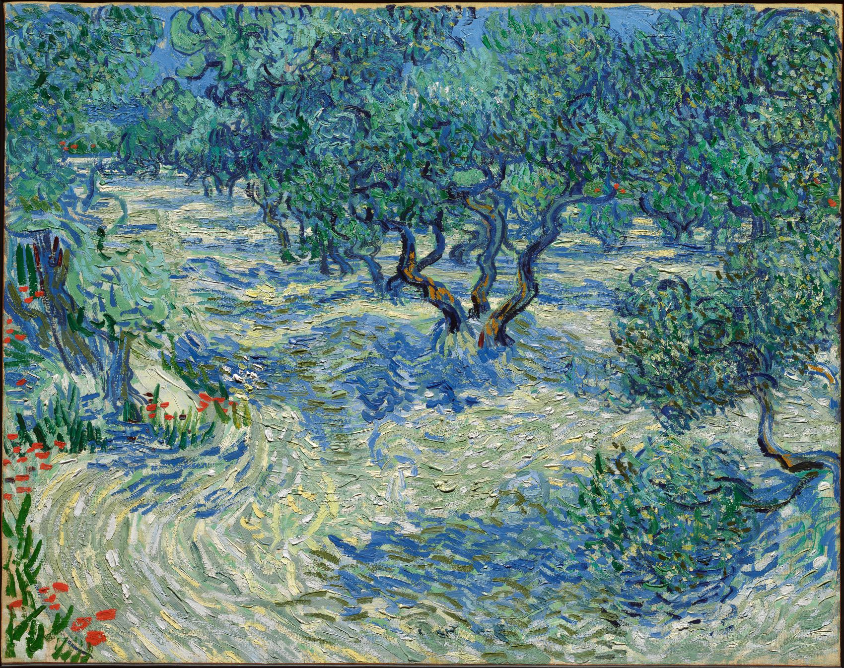 Olive Trees by Vincent van Gogh - 1889 - 73.2 × 92.2 cm Nelson-Atkins Museum of Art