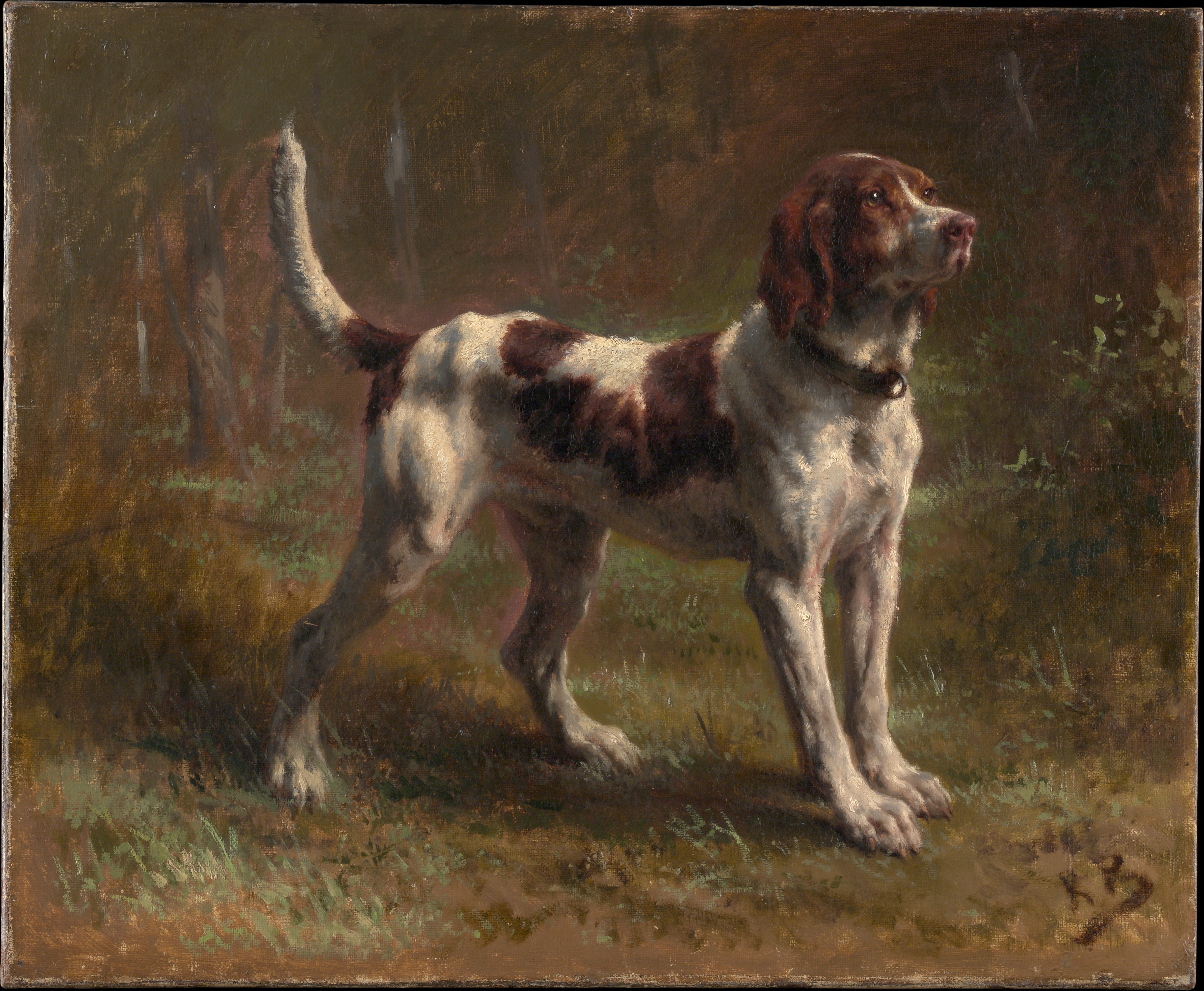 Een Briquet jachthond by Rosa Bonheur - ca. 1856 - 36,8 x 45,7 cm 