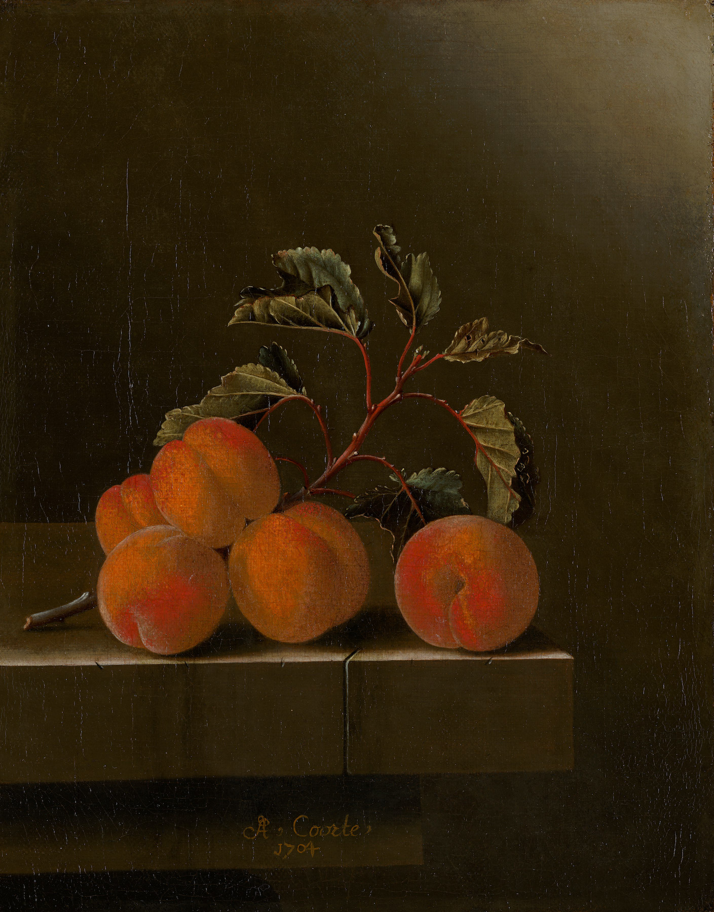 Zátiší s pěti meruňkami by Adriaen Coorte - 1704 - 23,5 x 30 cm 