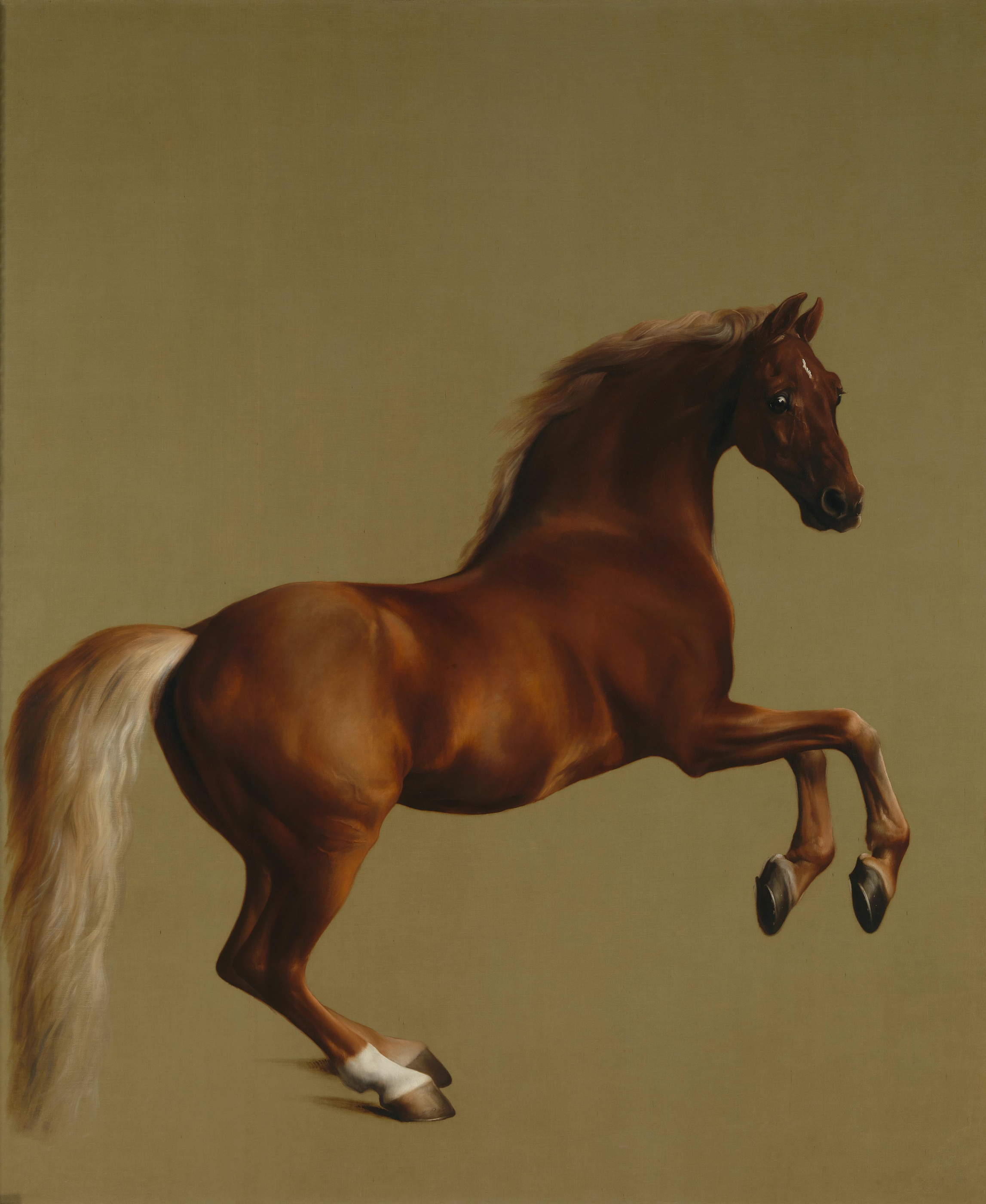 Whistlejacket by George Stubbs - 1762 - 292 x 246 cm National Gallery