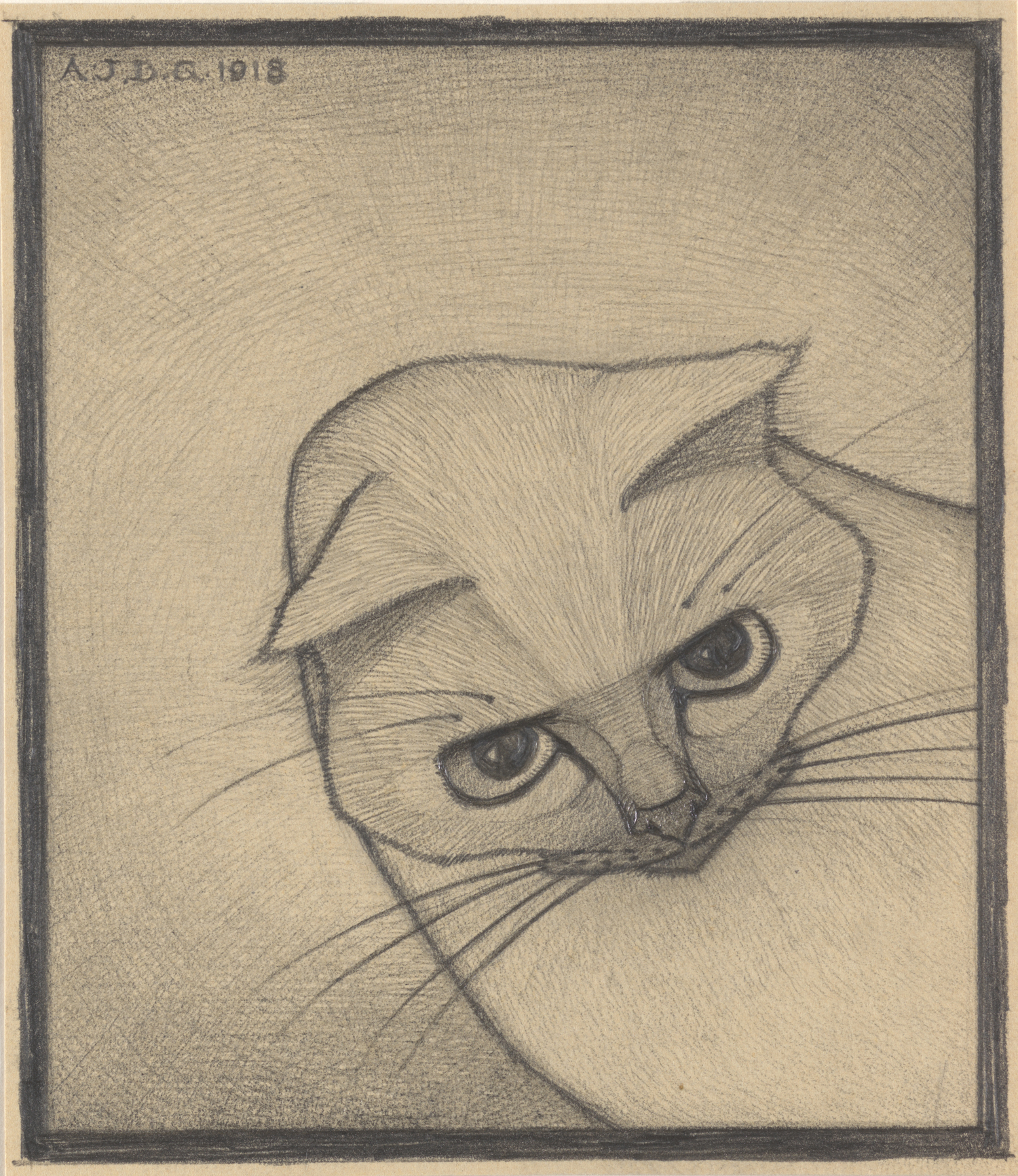 एक बिल्ली का सिर by Julie de Graag - २०वीं सदी - १५.८ x १३.७ सेमी 
