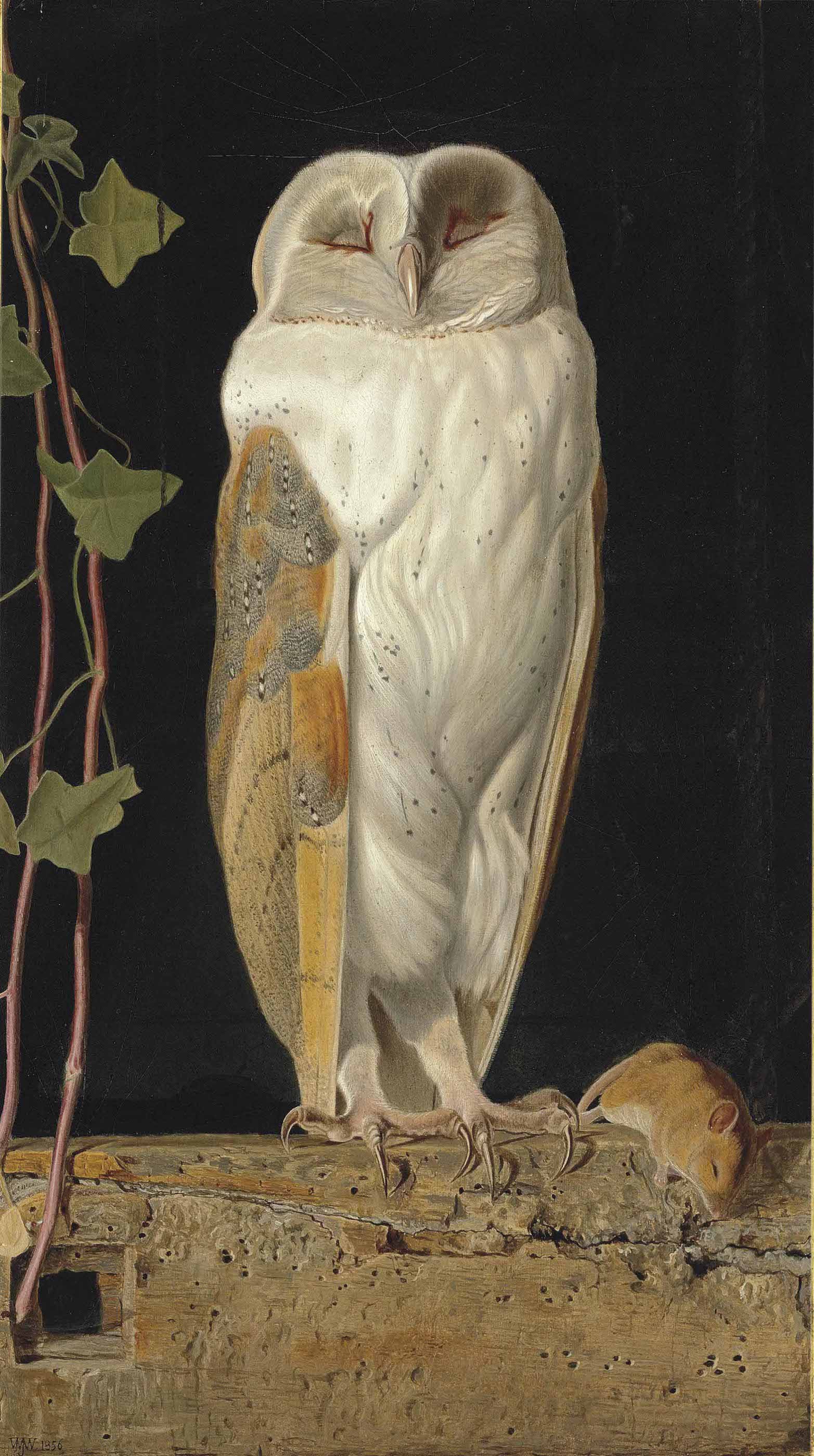 The White Owl by William James Webbe - 1856 - 45 x 26.3 cm private collection