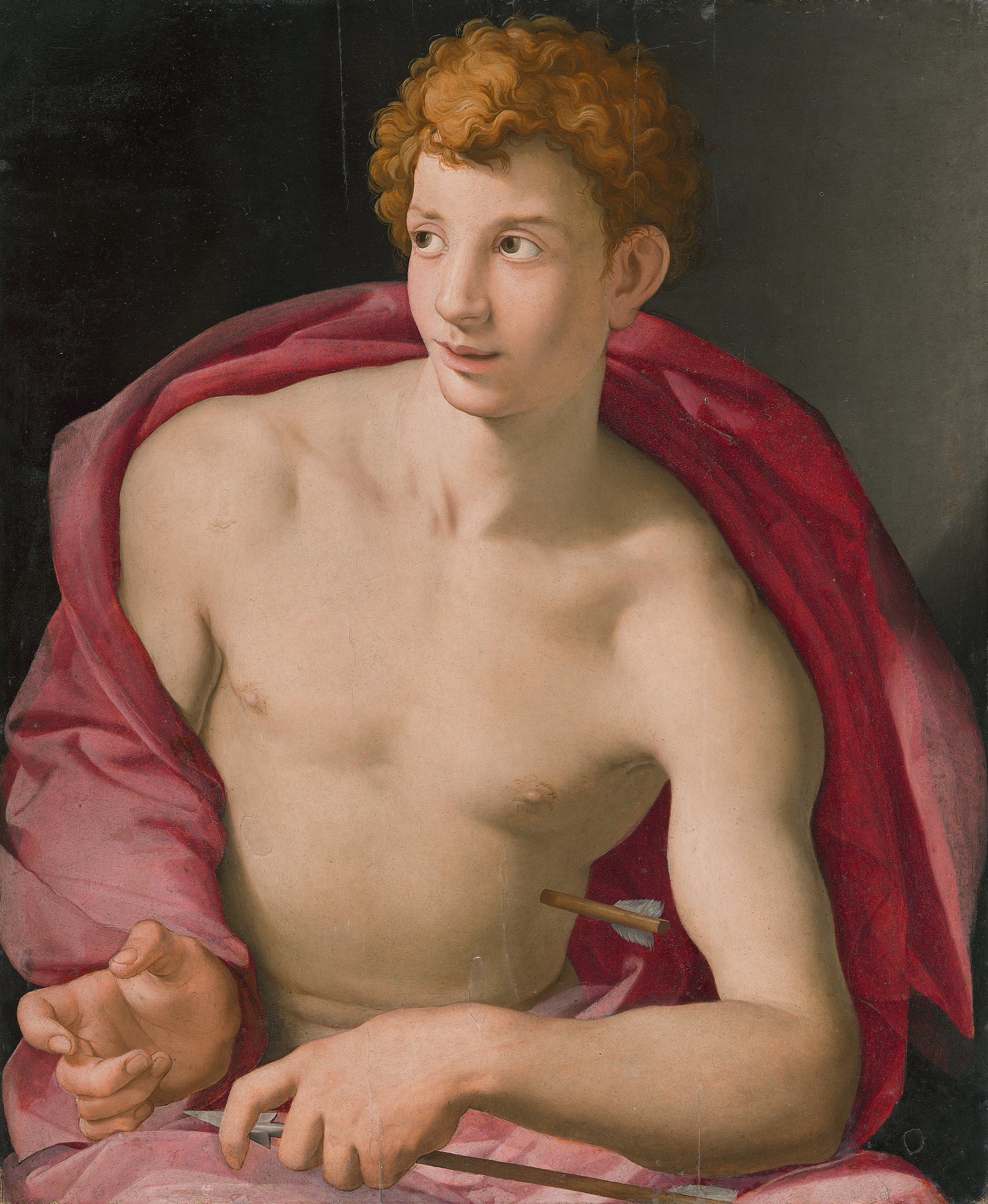 پرتره‌ی مردی جوان به عنوان قدیس سباستین by Agnolo Bronzino - حدودا ۱۵۳۳م. - ۸۷×۷۶.۵ سانتی‌متر 