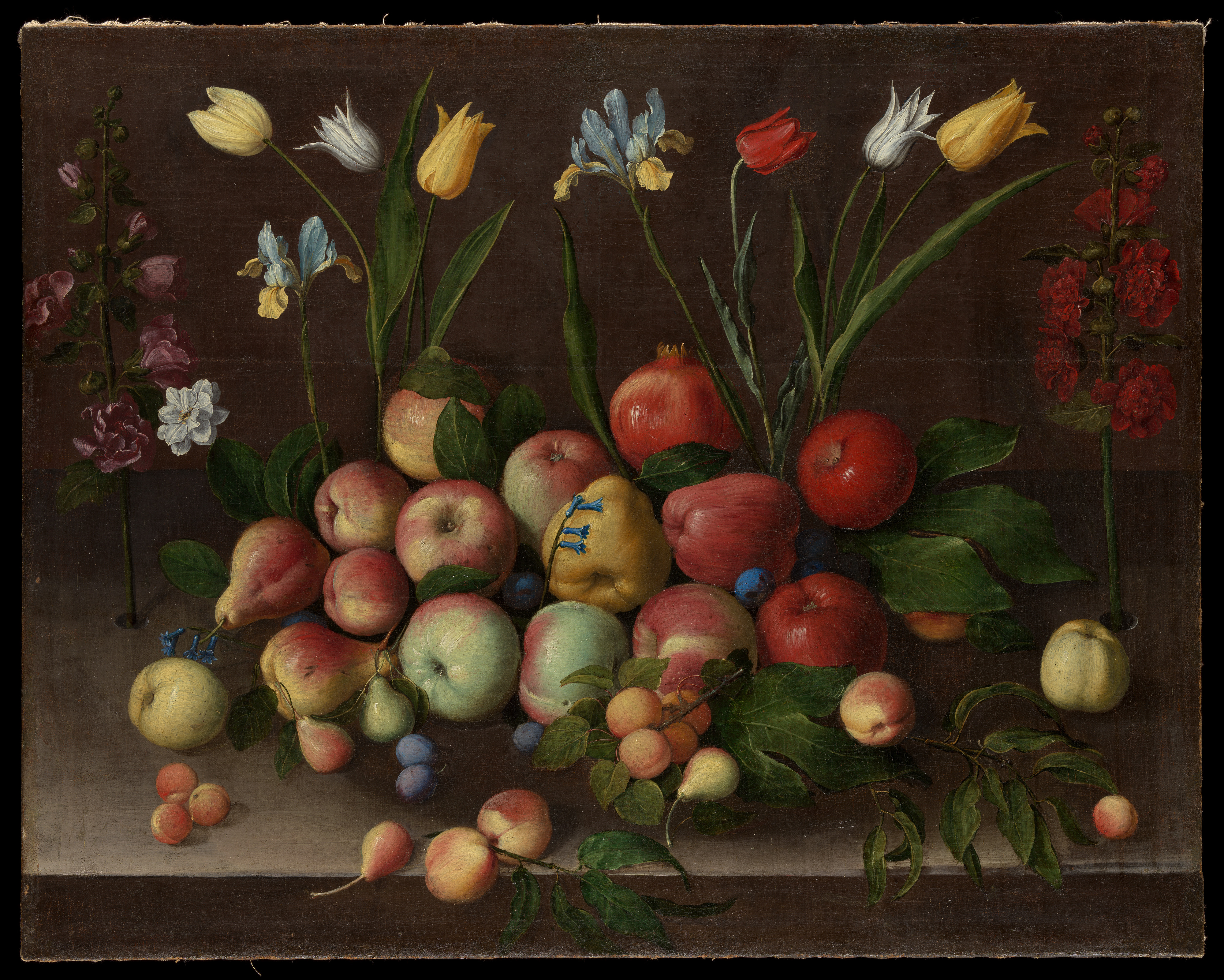 Fruit and Flowers by Orsola Maddalena Caccia - ca. 1630 - 30 × 39 in. (76.2 × 99.1 cm) Metropolitan Museum of Art