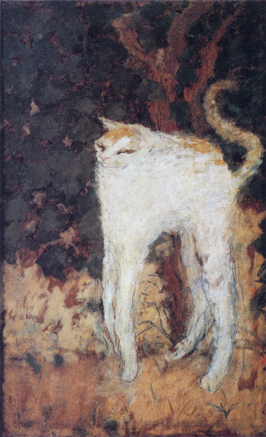 Bílá kočka by Pierre Bonnard - 1894 - 51 cm x 33 cm 