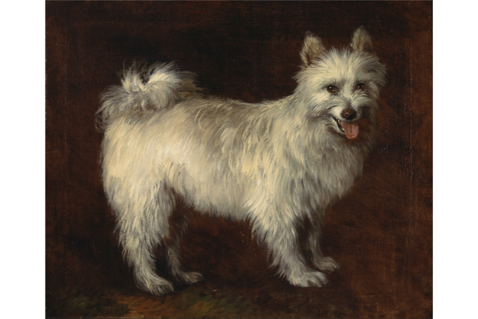 Cachorro da raça Spitz  by Thomas Gainsborough - c. 1765 - 61 x 74.9 cm 