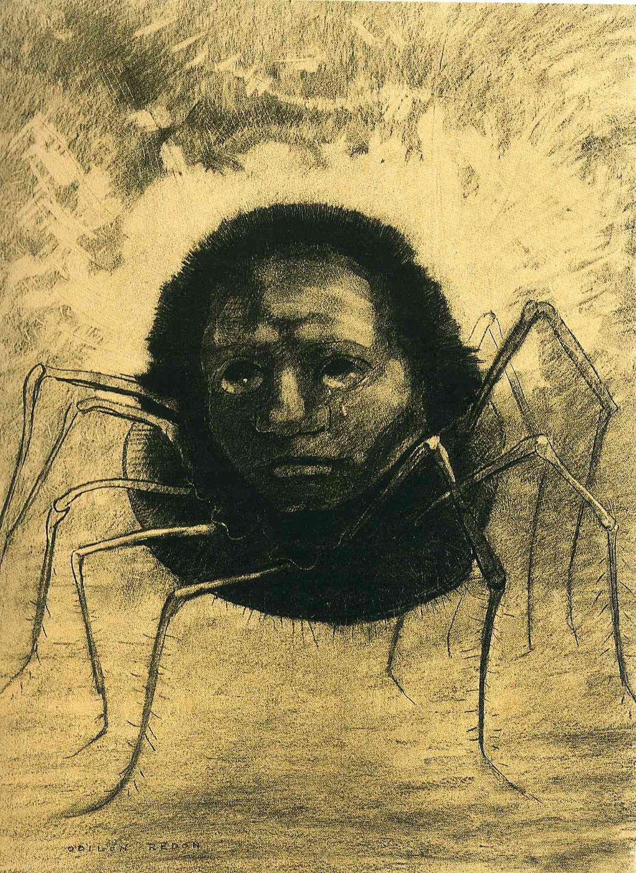 哭泣的蜘蛛 by 奥迪隆 · 雷东 - 1881 - 49 x 32.5 cm 