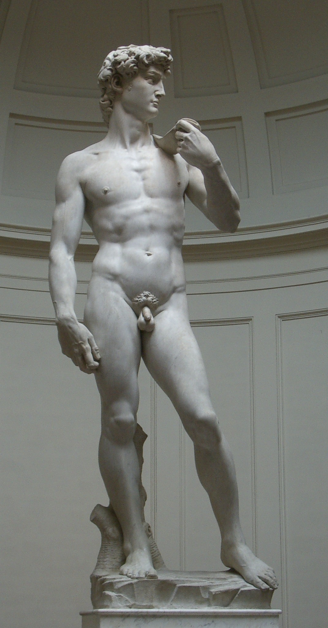 David by  Michelangelo - 1501–04 - 4,34 x 5,17 m Académie des beaux-Arts de Florence