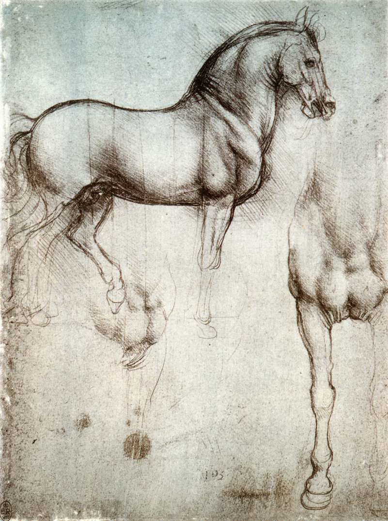 Study of Horse by Leonardo da Vinci - c. 1490 - 250 x 187 mm Royal Academy of Arts