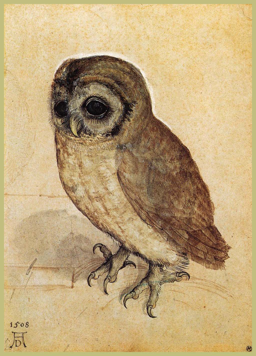 The Little Owl by Albrecht Dürer - 1506 - 46 x 61 cm Albertina