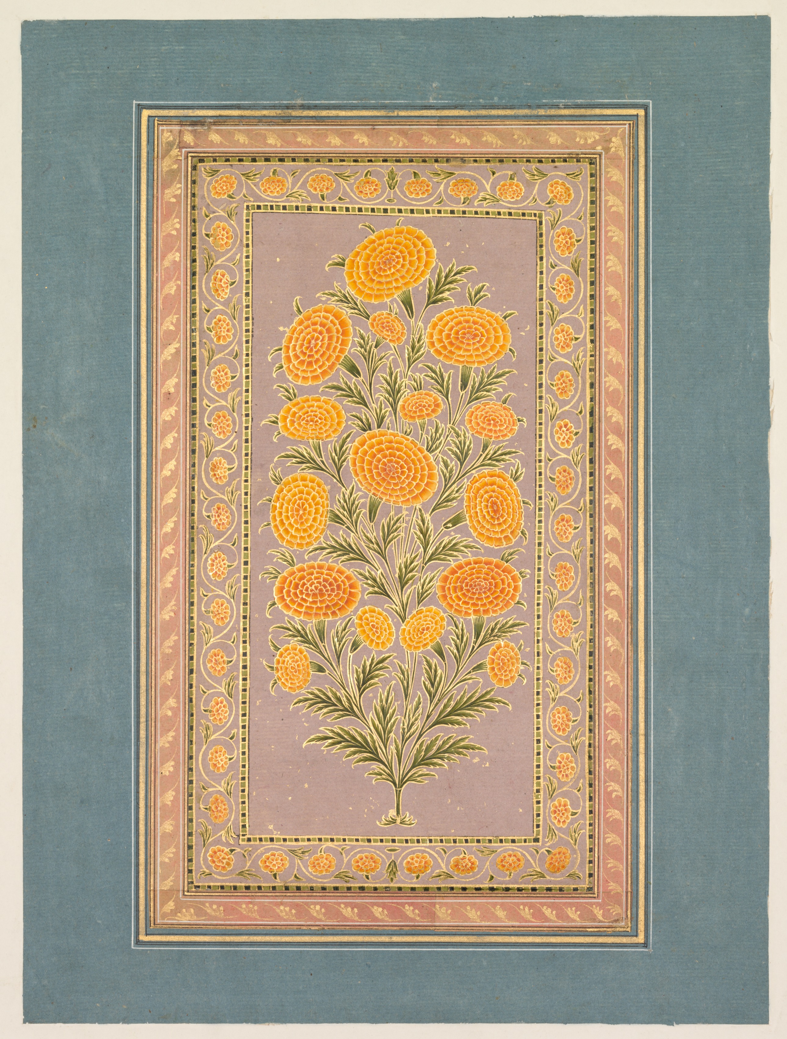 Flowering Marigold by Unknown Artist - c. 1765 - 33.1 x 24.9 cm Cleveland Museum of Art
