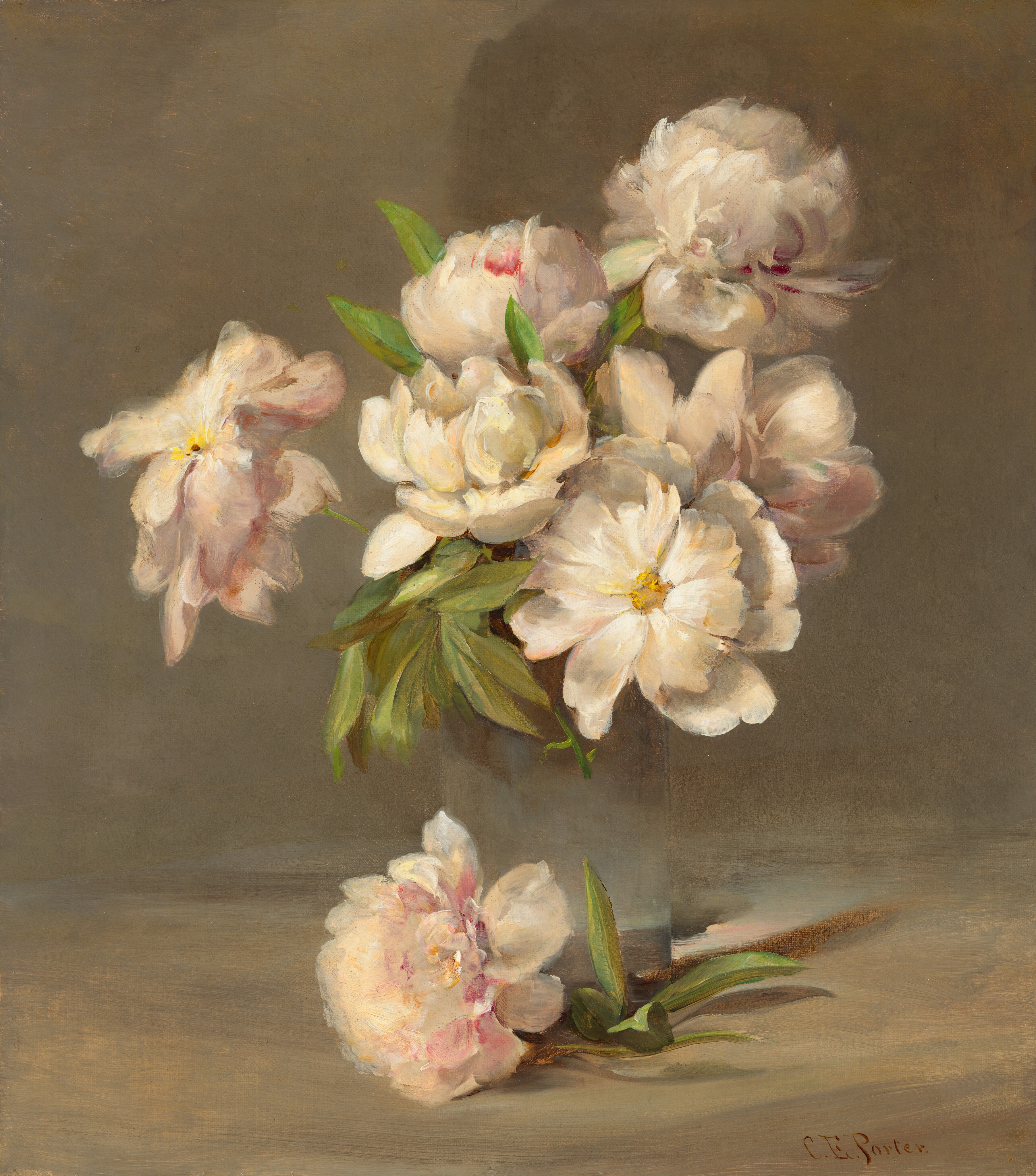 Peonies in a Vase by Charles Ethan Porter - c. 1885 - 45.72 × 40.64 cm National Gallery of Art