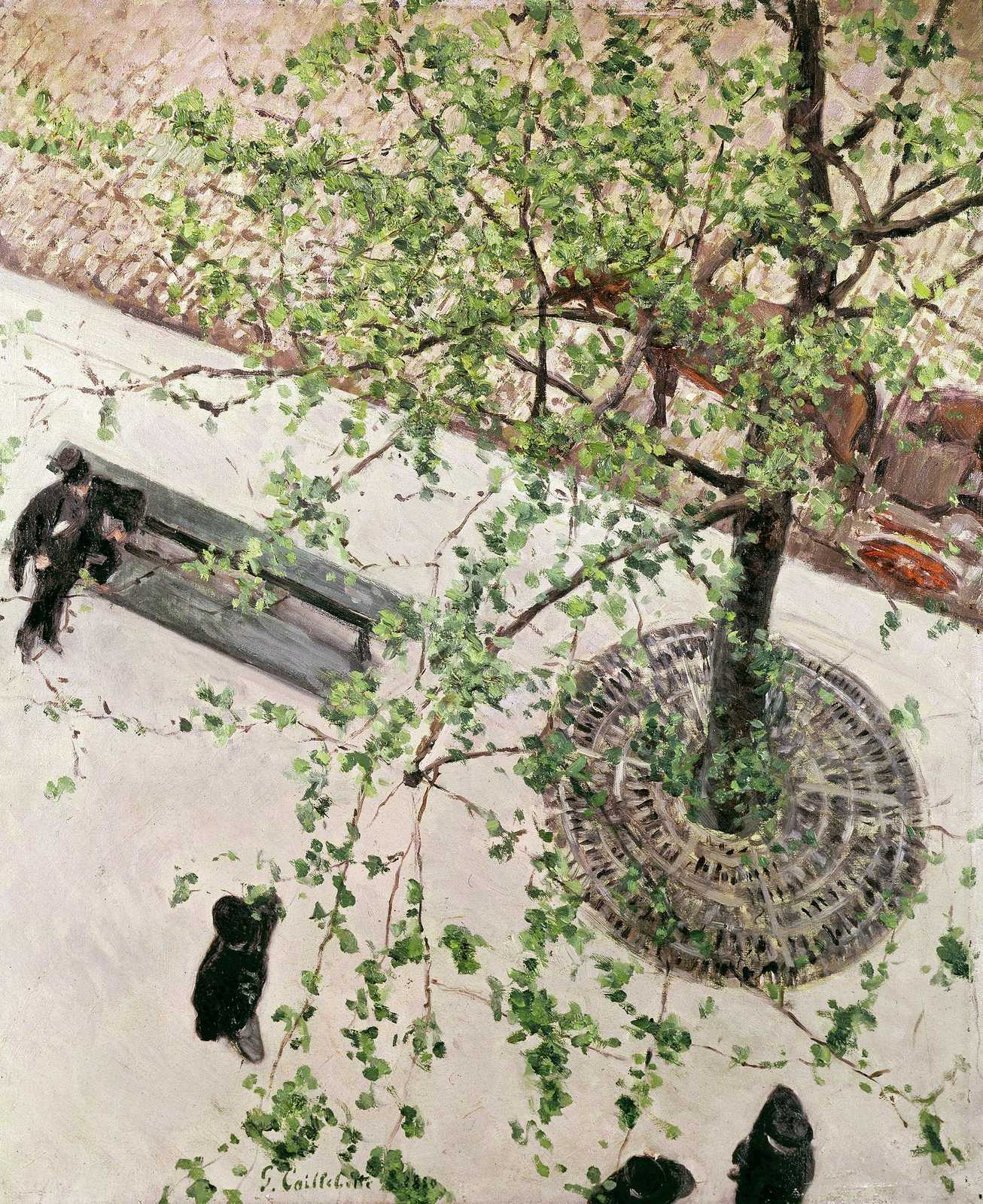 The Boulevard Seen From Above by Gustave Caillebotte - 1880 - 65 × 54 cm private collection