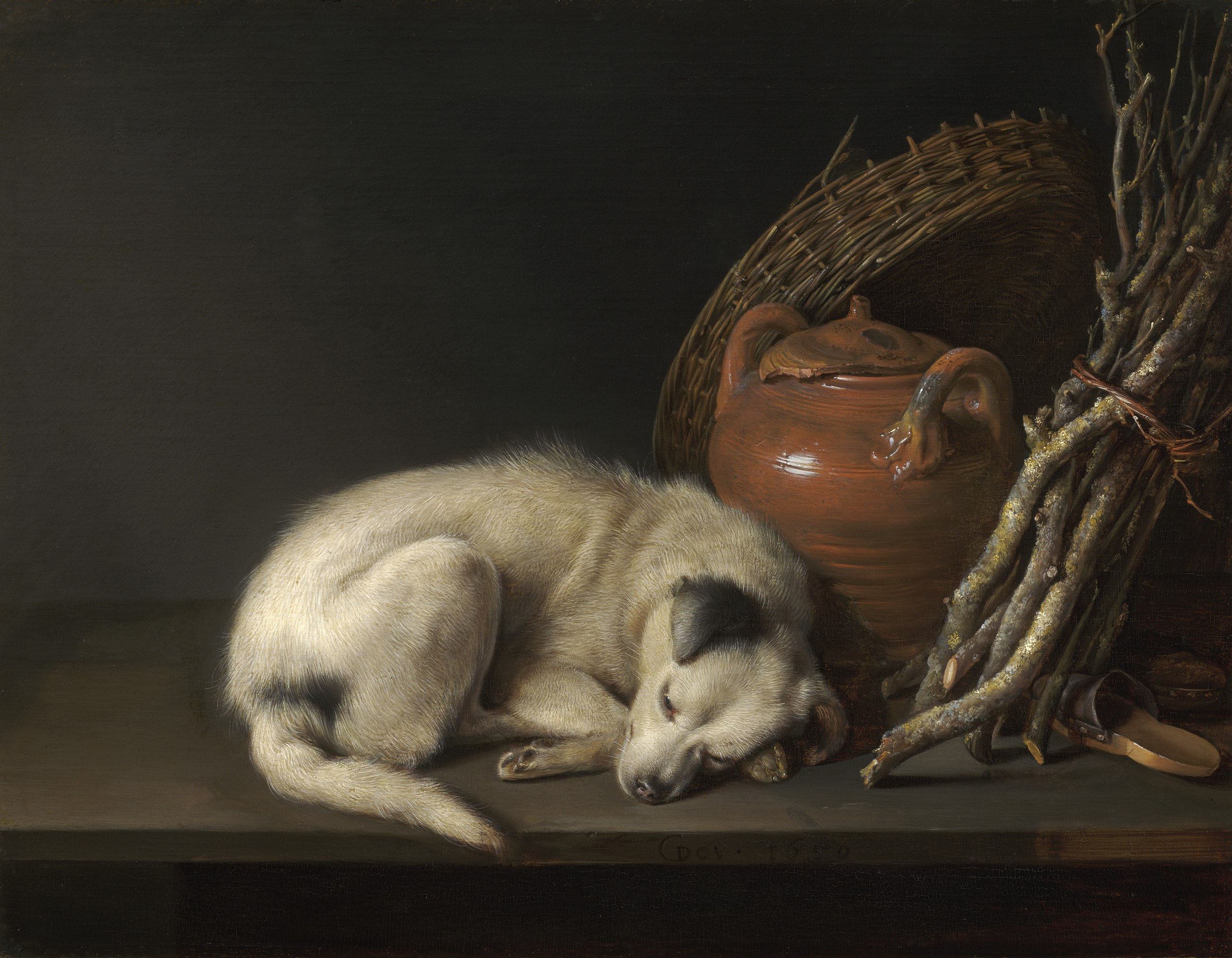Собака відпочиває by Gerrit Dou - 1650 - 16.5 x 21.6 см 
