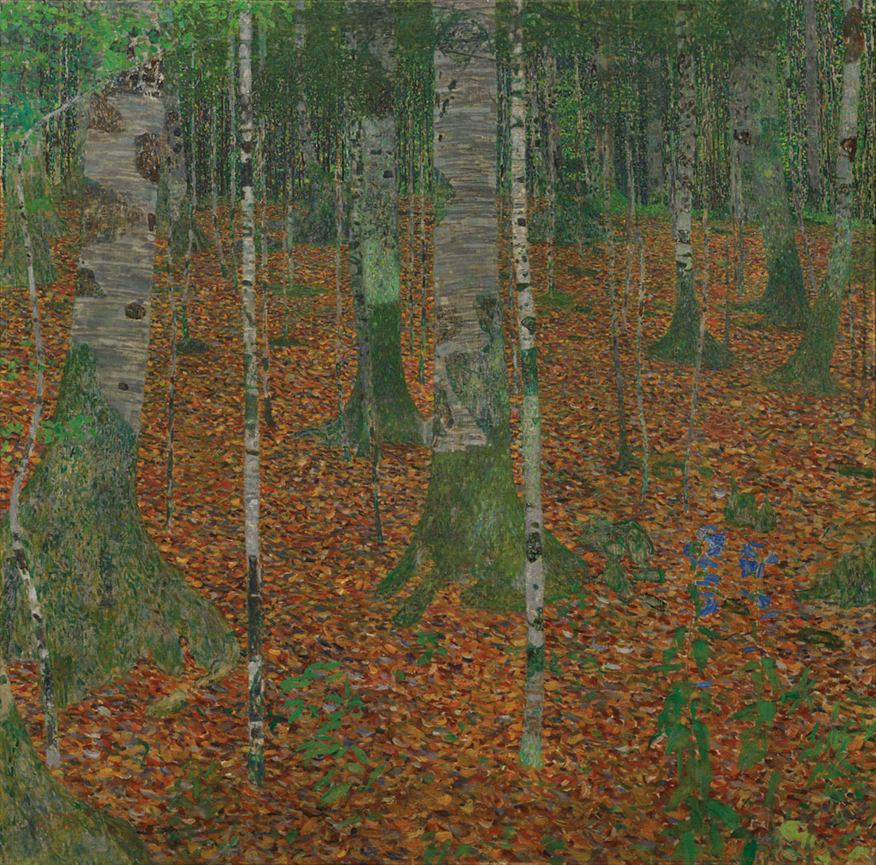 Birch Forest by Gustav Klimt - 1903 - 110 x 110 cm private collection