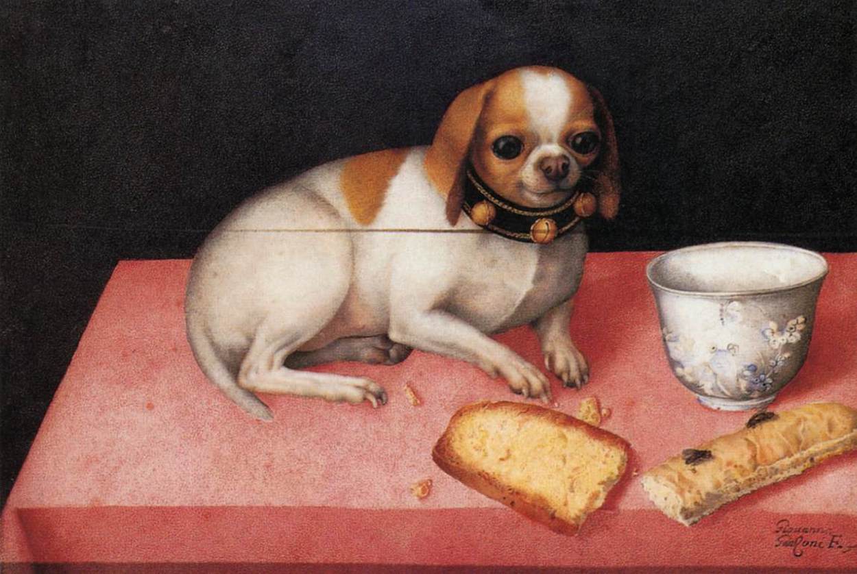 Собачка с бисквитом и китайской чашкой (Dog with a Biscuit and a Chinese Cup) by Giovanna Garzoni - 1640е 
