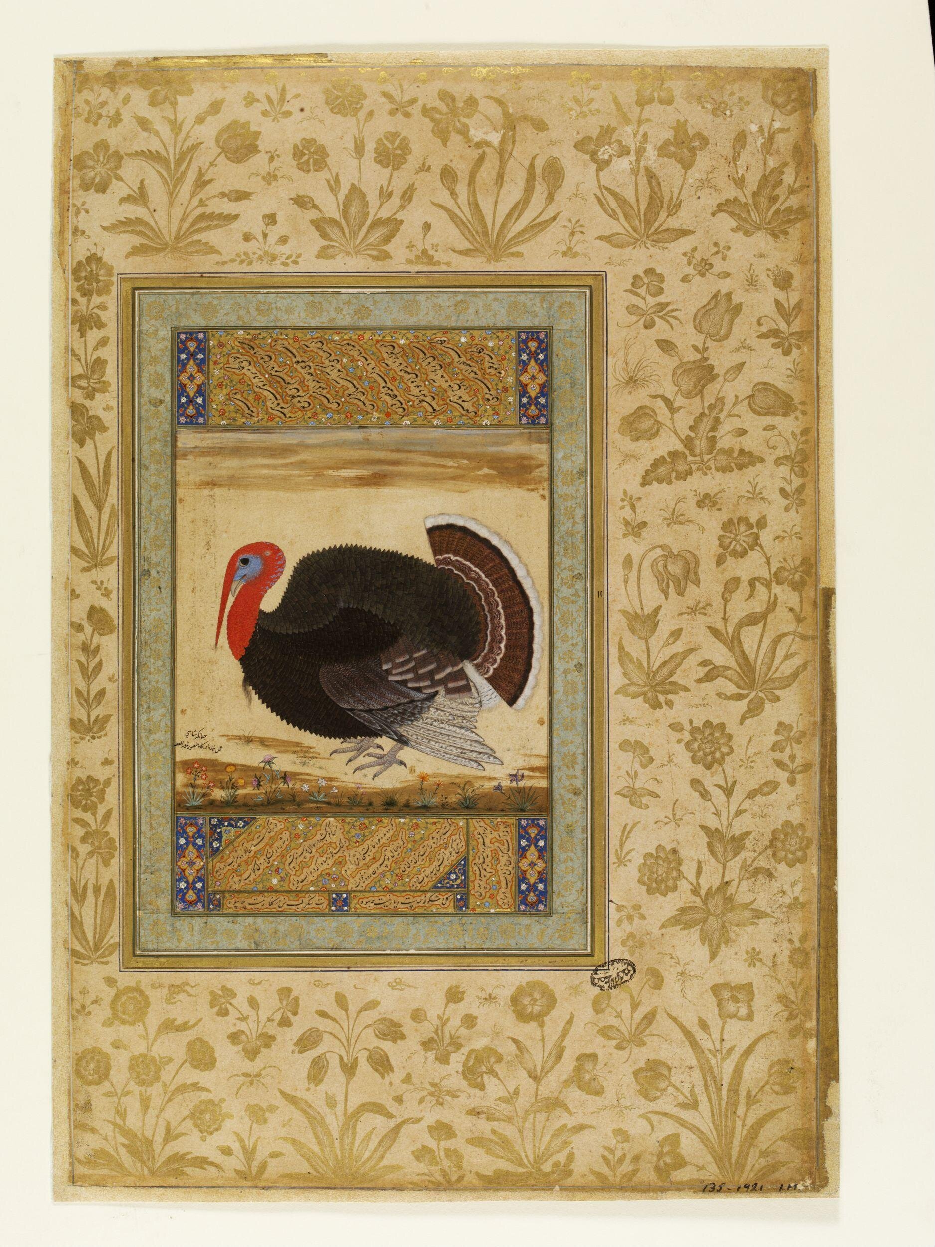Turkey by Ustad Mansur - c. 1612 - 12.8 x 12.2 cm Victoria and Albert Museum
