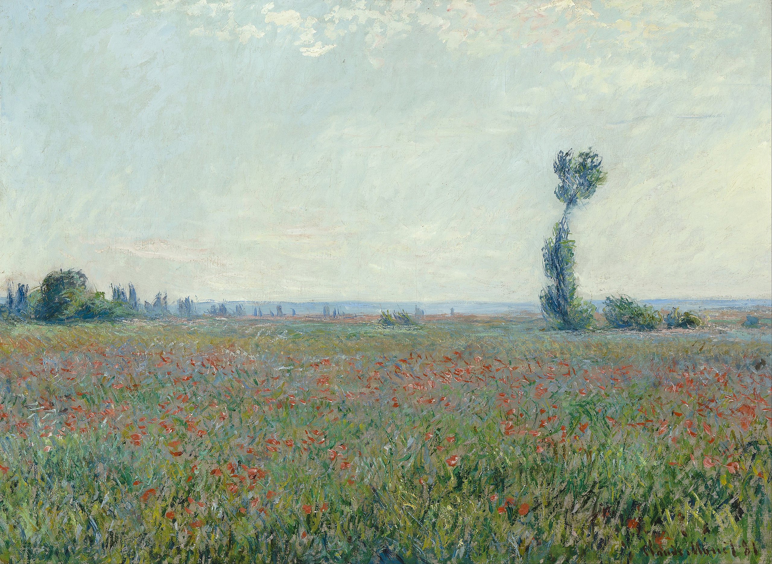 حقل زهور الخشخاش by Claude Monet - 1881 - الأبعاد: 79 × 58 سم 