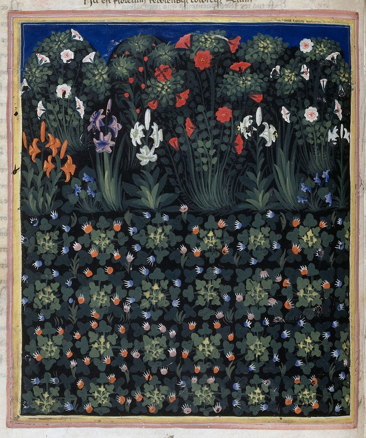 Garden by Pacino di Buonaguida - 1335-1340 - 49 x 35 cm British Library
