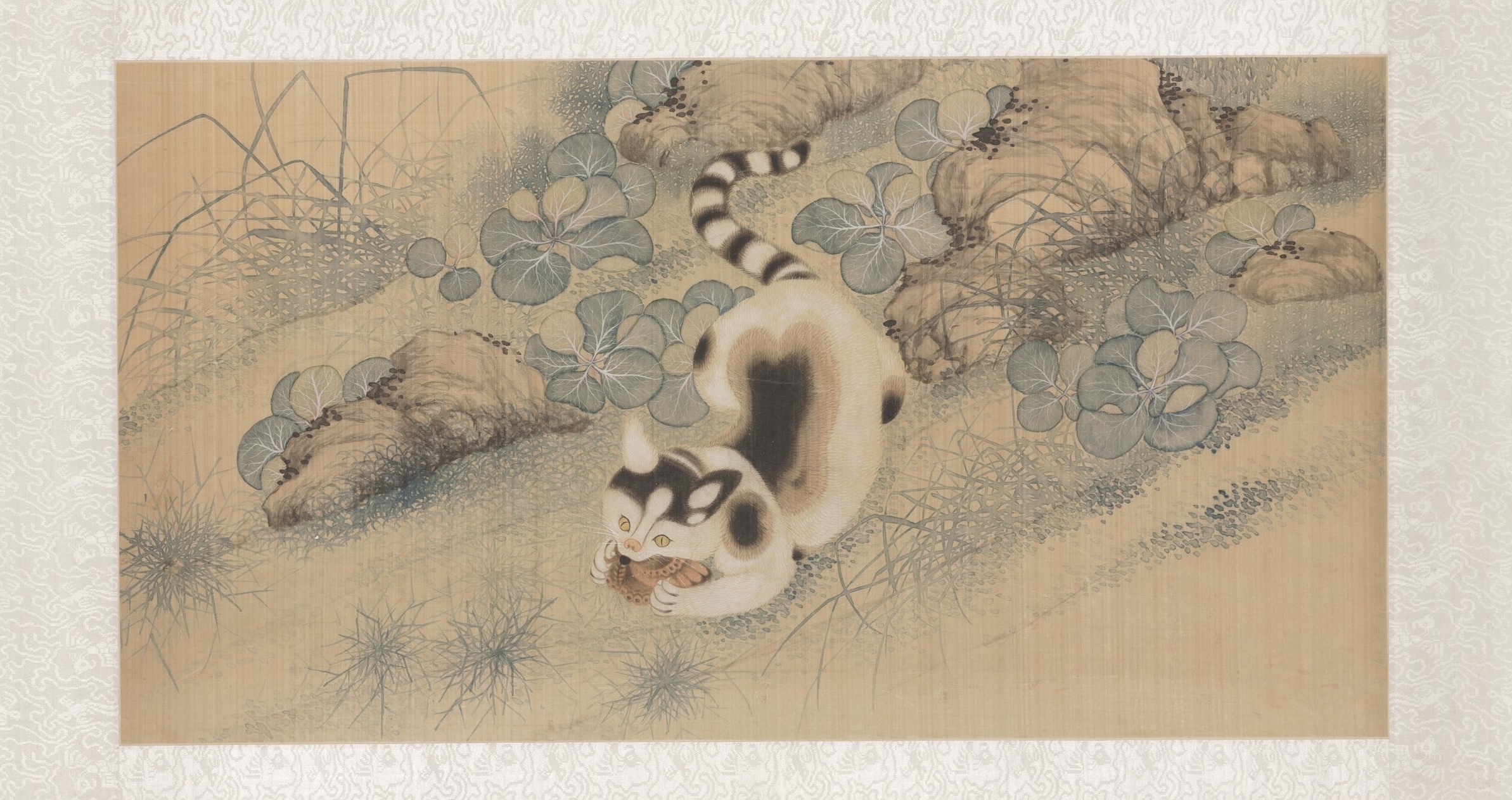 Wiszący zwój z makami, motylami i kotem by Yun Bing - 1683 r. - 46 × 90 × 0,5 cm 