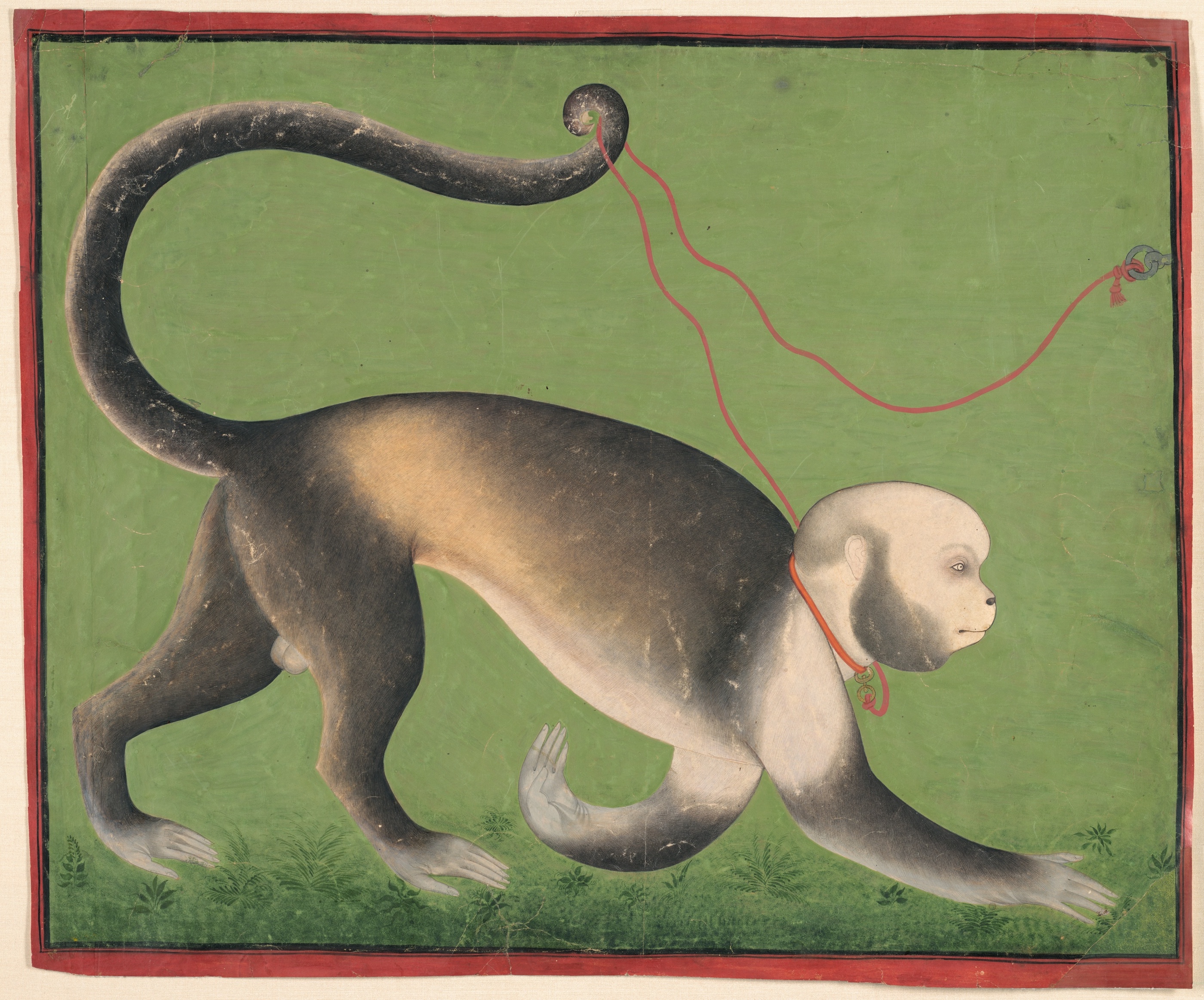 Portretul monumental al unei maimuțe by  Stipple Master - 1705–1710 - 48.5 × 58.7 cm 