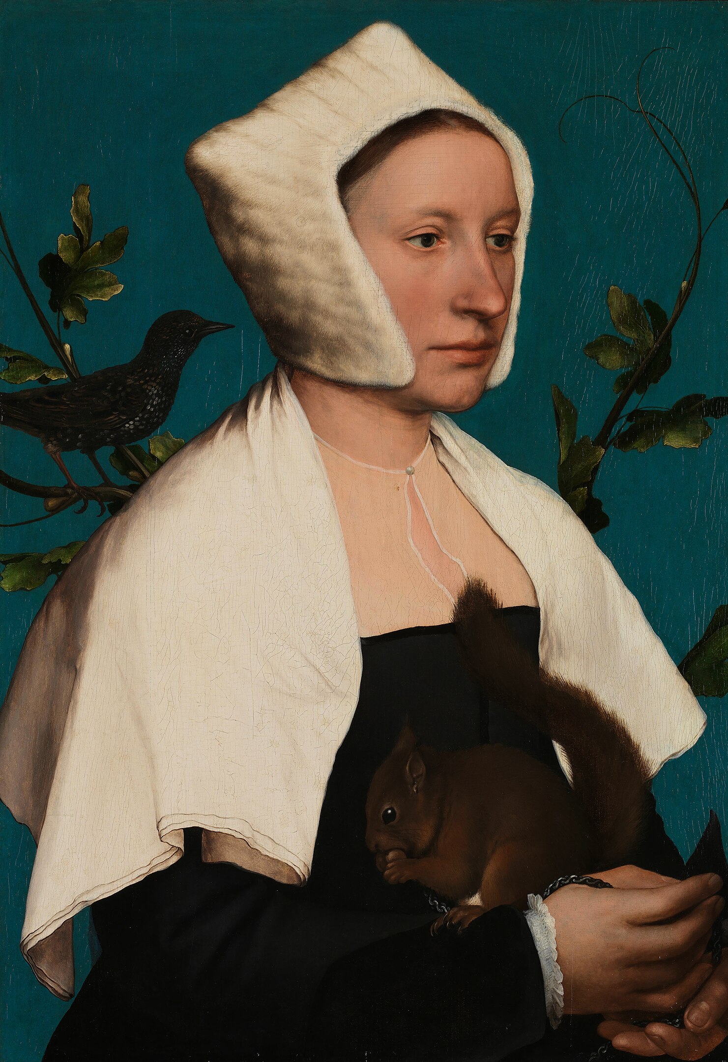 A Lady With a Squirrel and a Starling by Hans Holbein the Younger - about 1526-1528 - 56 x 38.8 cm National Gallery
