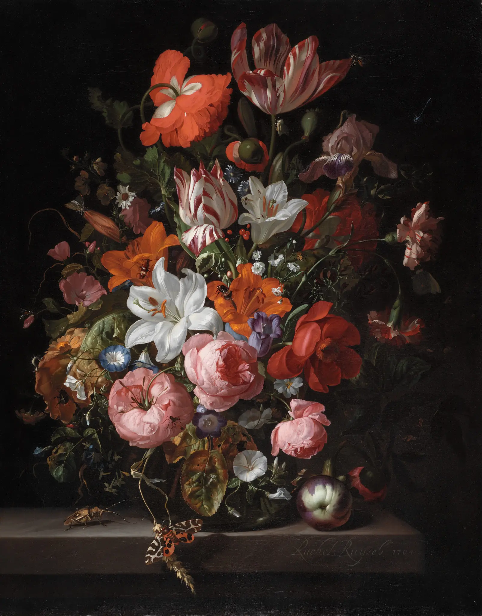 Flores num vaso de vidro by Rachel Ruysch - 1704 - 83,8 × 67 cm 