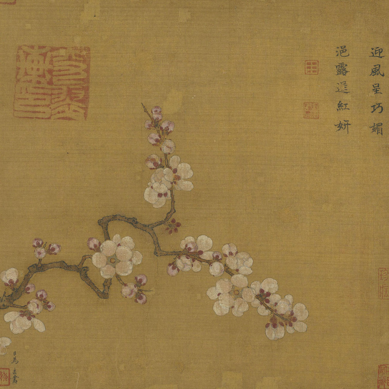 أزهار المشمش by Ma Yuan - بين عامي 1162 و 1232 - الأبعاد:  cm 25.8x27.3 