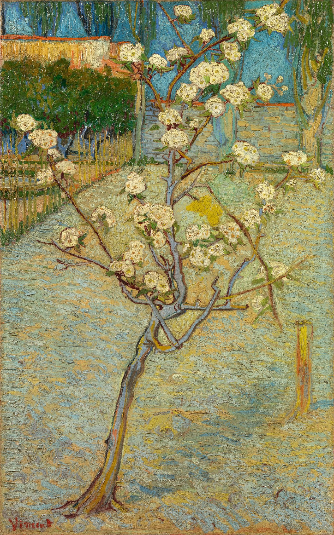 Small Pear Tree in Blossom by Vincent van Gogh - April 1888 - 73.6 x 46.3 cm Van Gogh Museum