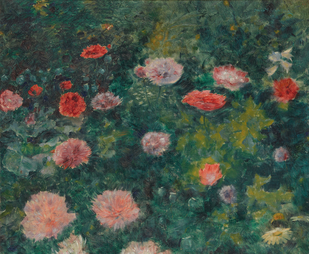 盛开的罂粟 by 马克斯 施利青 - 1895 - 48 x 57 cm 旧国家美术馆