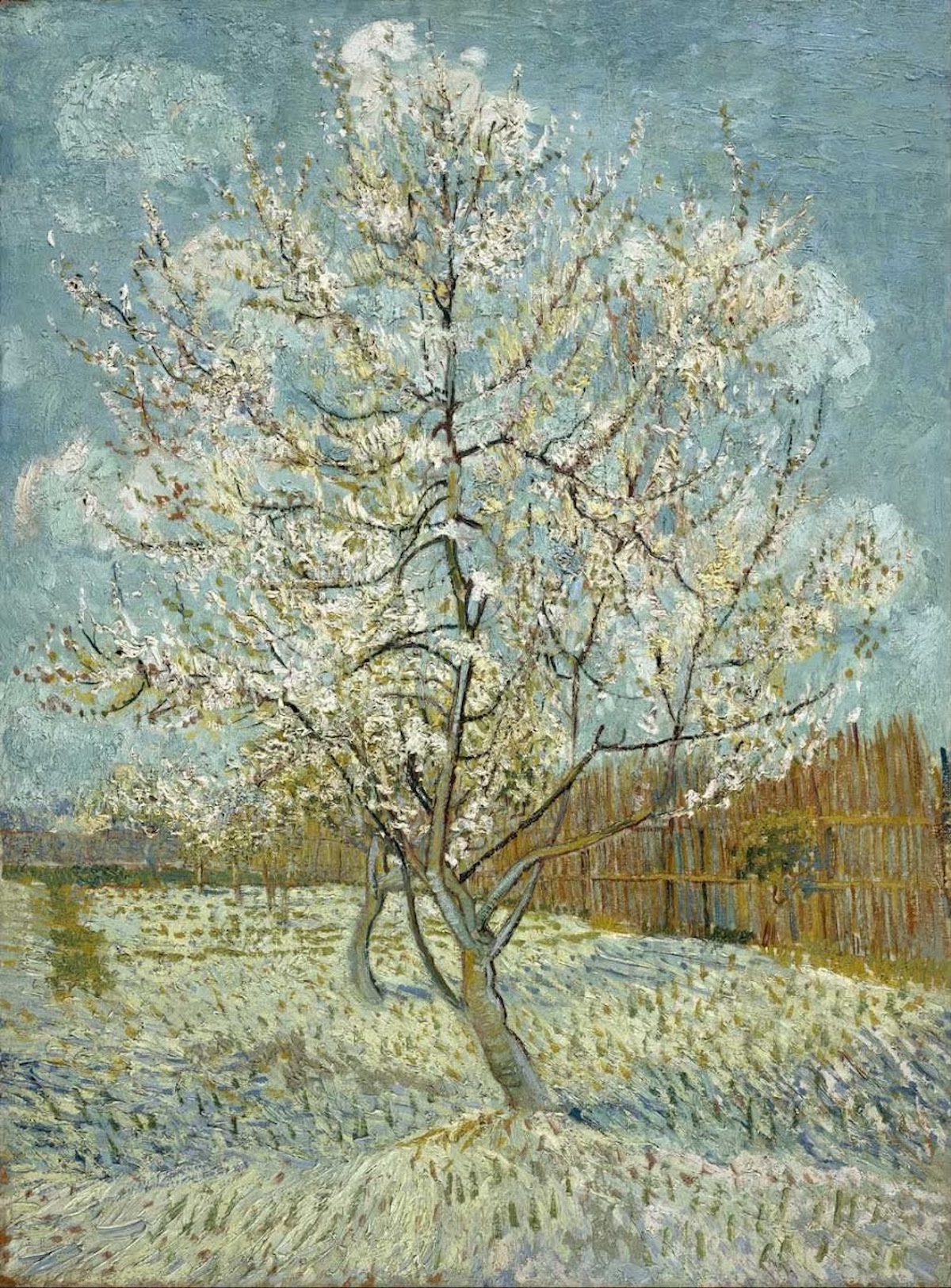 粉紅桃樹 by Vincent van Gogh - 1888 - 80.9 x 60.2 cm 