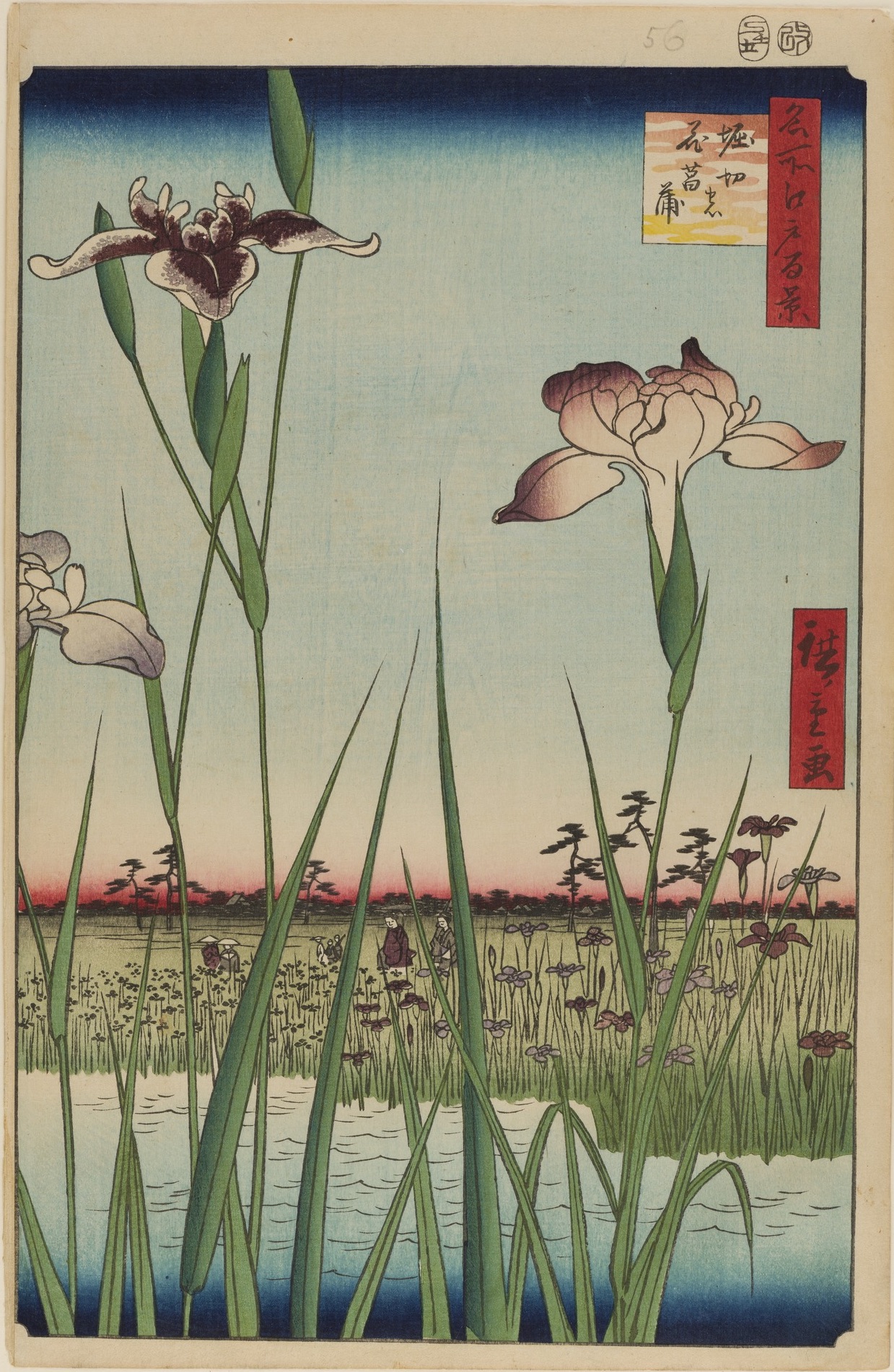 호리키리 마을의 아이리스 정원 by  Hiroshige - 1856년 - 34 x 22.9 cm 