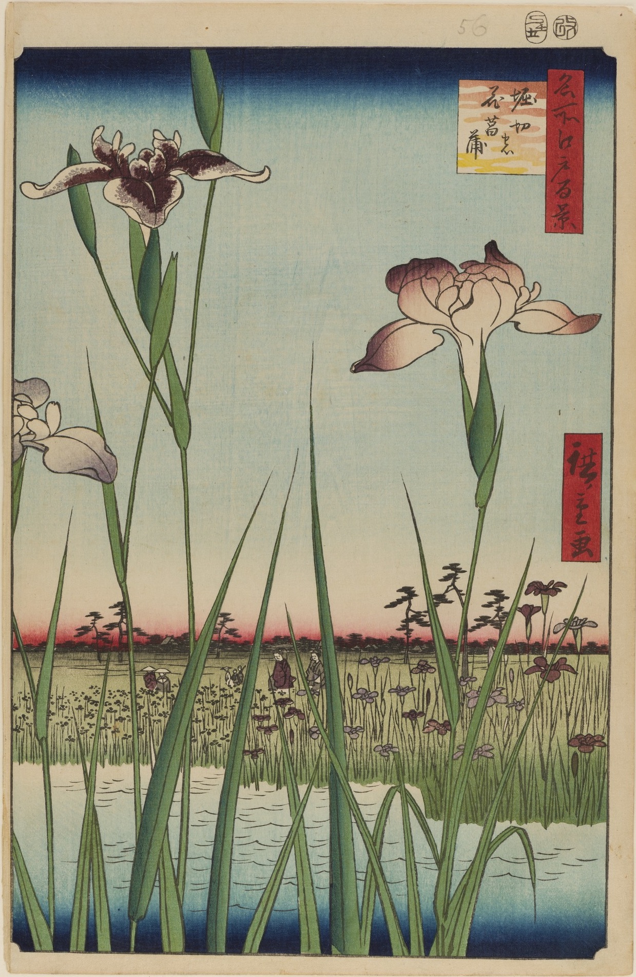 Jardin d’iris d'Horikiri by  Hiroshige - 1856 - 34 x 22,9 cm Brooklyn Museum