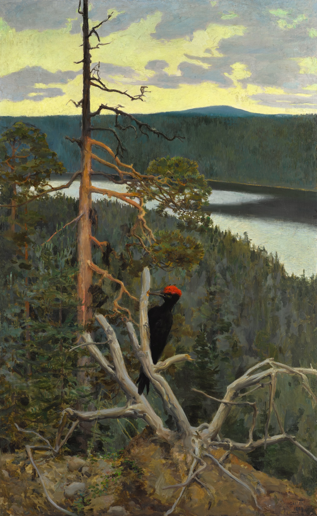 黑色啄木鸟 (Palokärki) by 阿克塞利 加伦-卡勒拉 - 1894 - 145 x 91 cm 