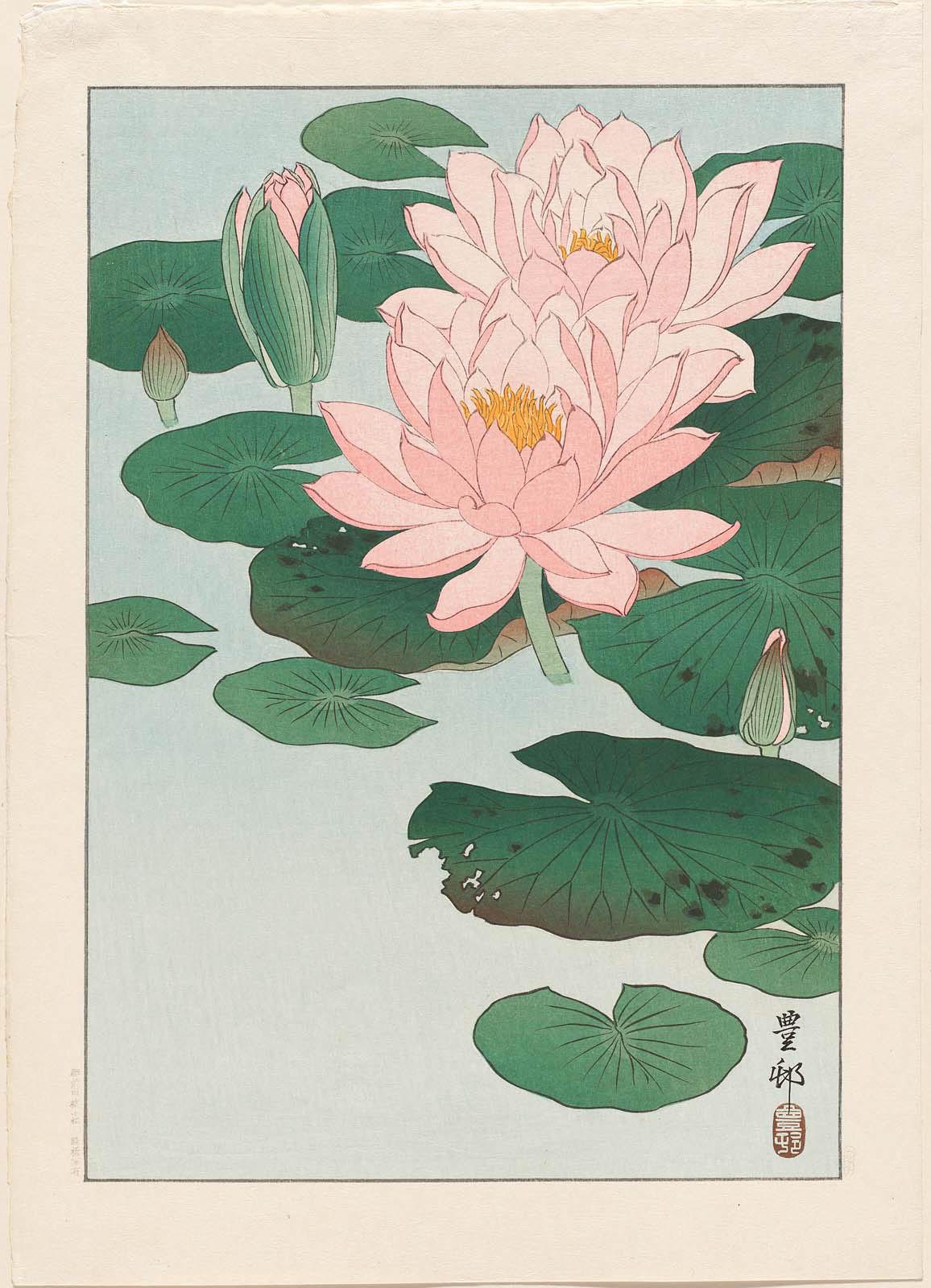 睡蓮 by Ohara Koson - 1920年代 - 37.6 x 26.9 cm 