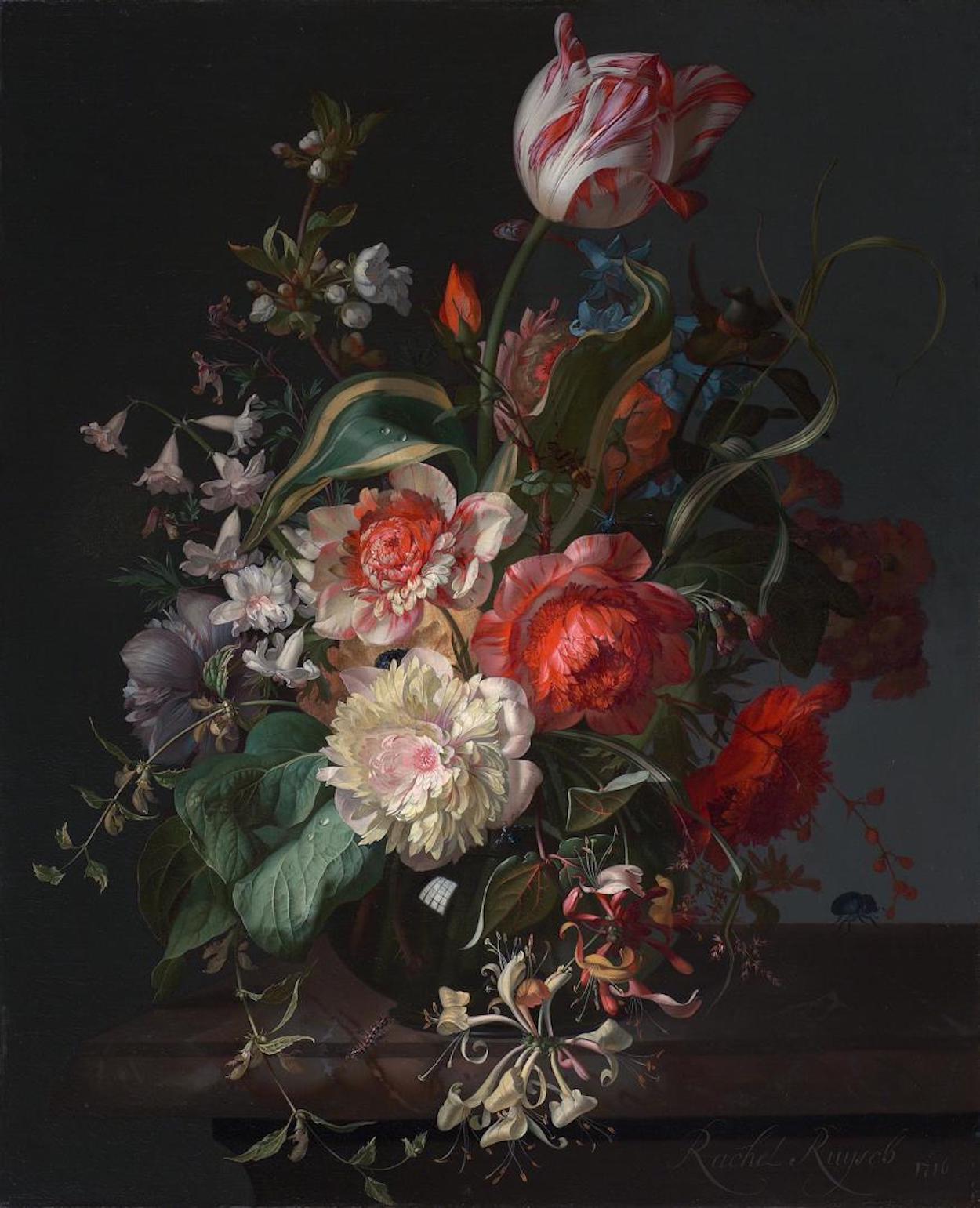 Fiori in un vaso di vetro con un tulipano by Rachel Ruysch - 1716 - 46,5 × 36 cm 