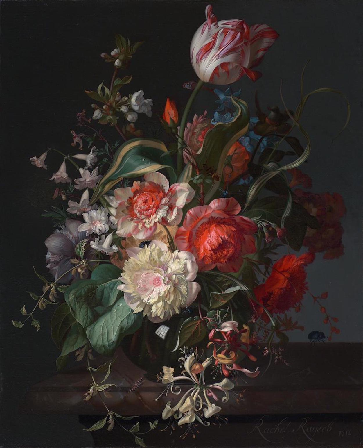 Квіти в скляній вазі з тюльпаном by Rachel Ruysch - 1716 - 46.5 × 36 см 