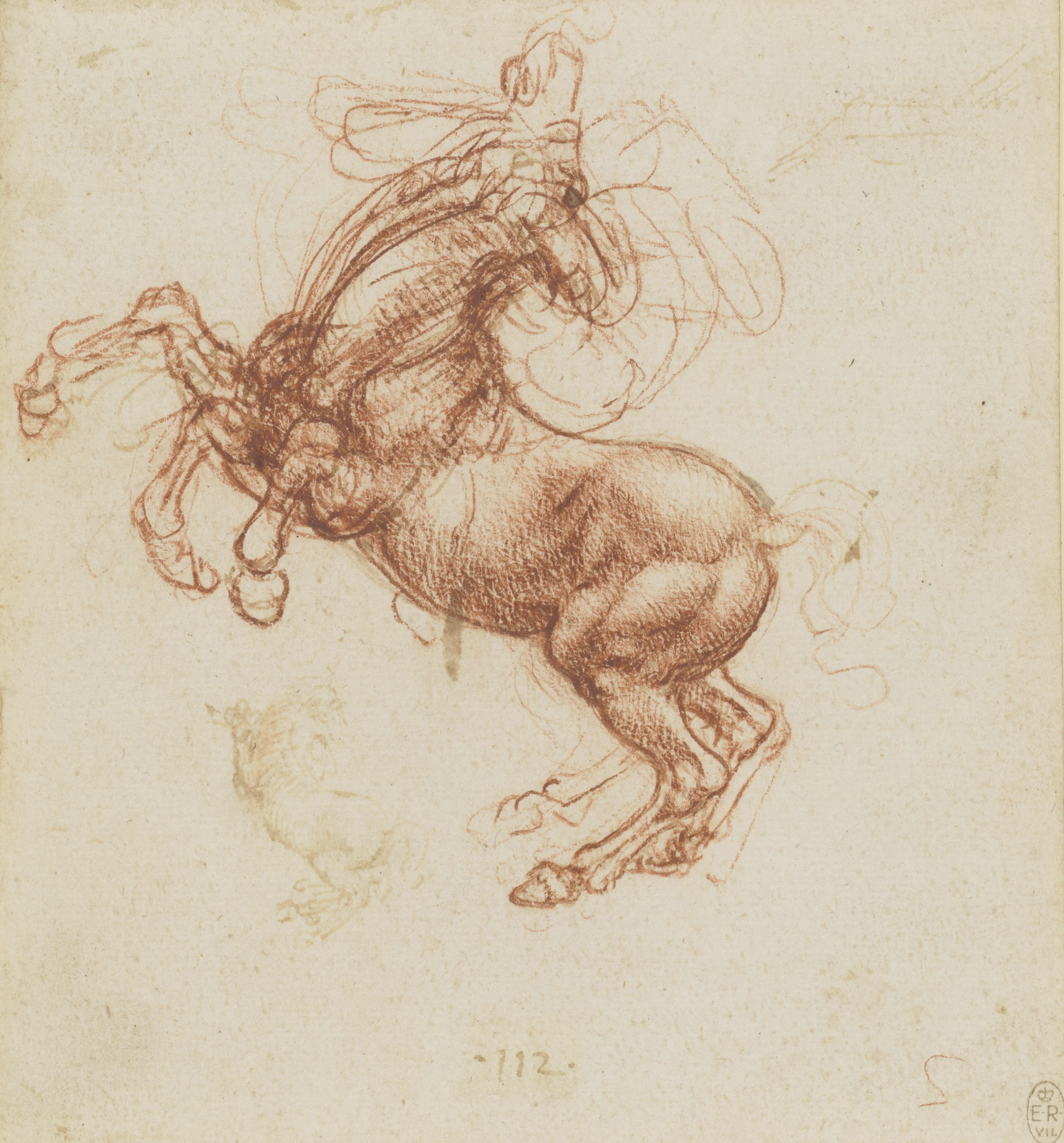 포효하는 말 by Leonardo da Vinci - 1503-1504년경 - 15.3 x 14.2 cm 