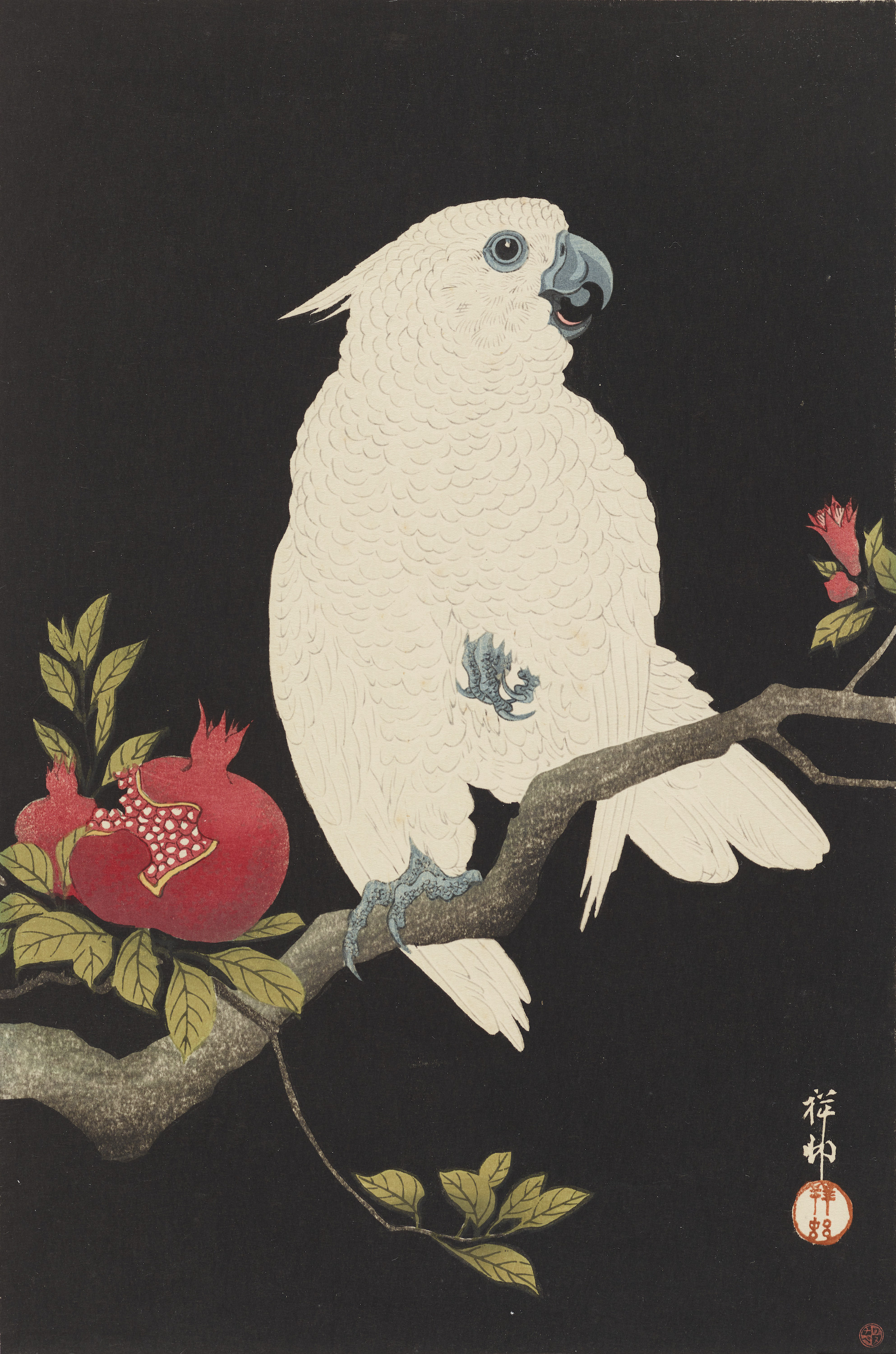 कॉकटू और अनार by Ohara Koson - 1930 - 26.5 x 39.5 सेमी 
