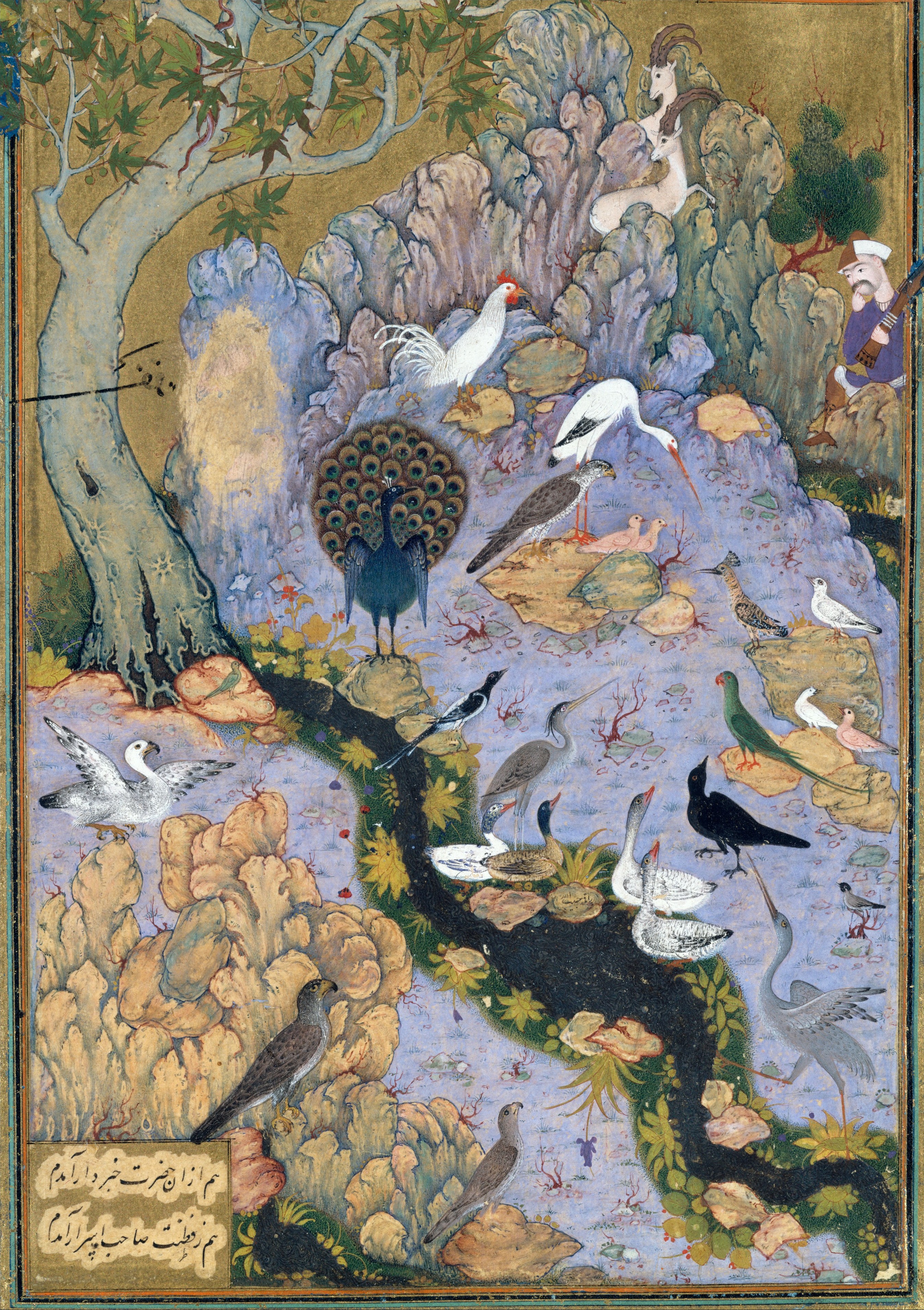 Зібрання птахів by Habiballah of Sava - бл. 1600 - 25.4 x 11.4 см 