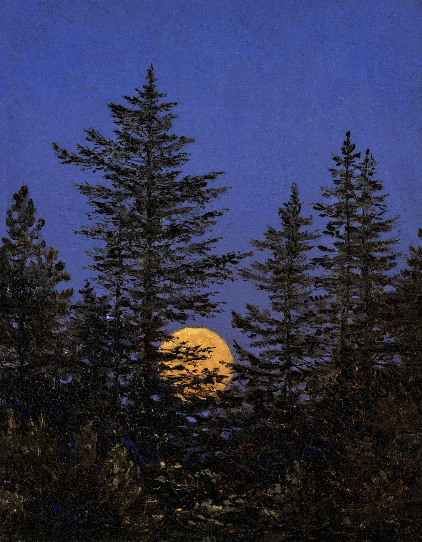 Opkomende maan achter dennenbomen by Carl Gustav Carus - 19de eeuw - 10,2 x 8 cm 