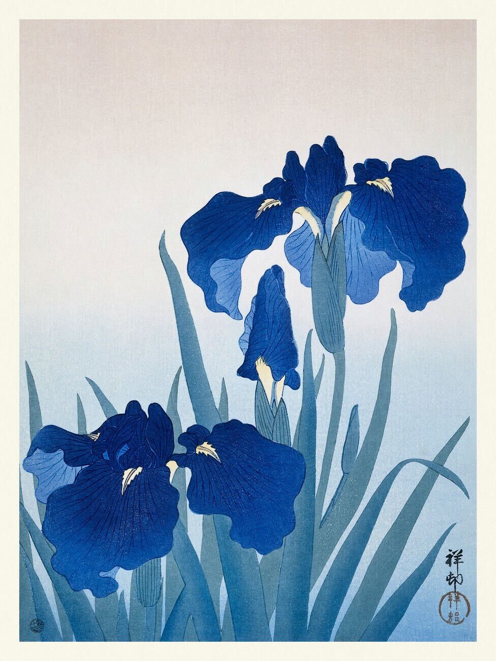 かきつばた by Ohara Koson - 1900年から1930年の間 - 25,4 x 12.8 cm 