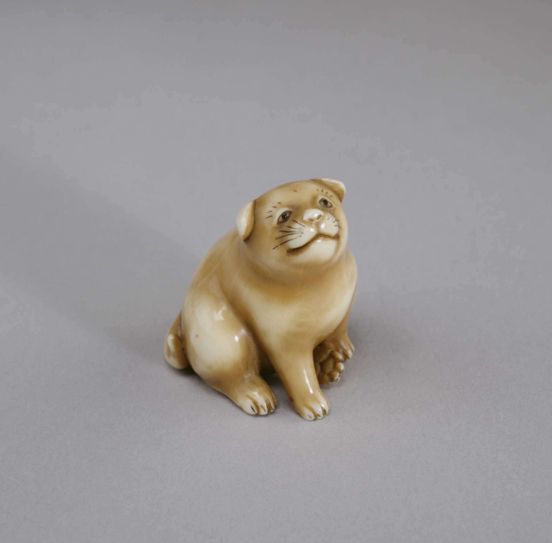 Netsuke in the Form of a Puppy by Ohara Mitsuhiro - mid 19th century - 3.4 × 2.9 × 2.4 cm The Walters Art Museum