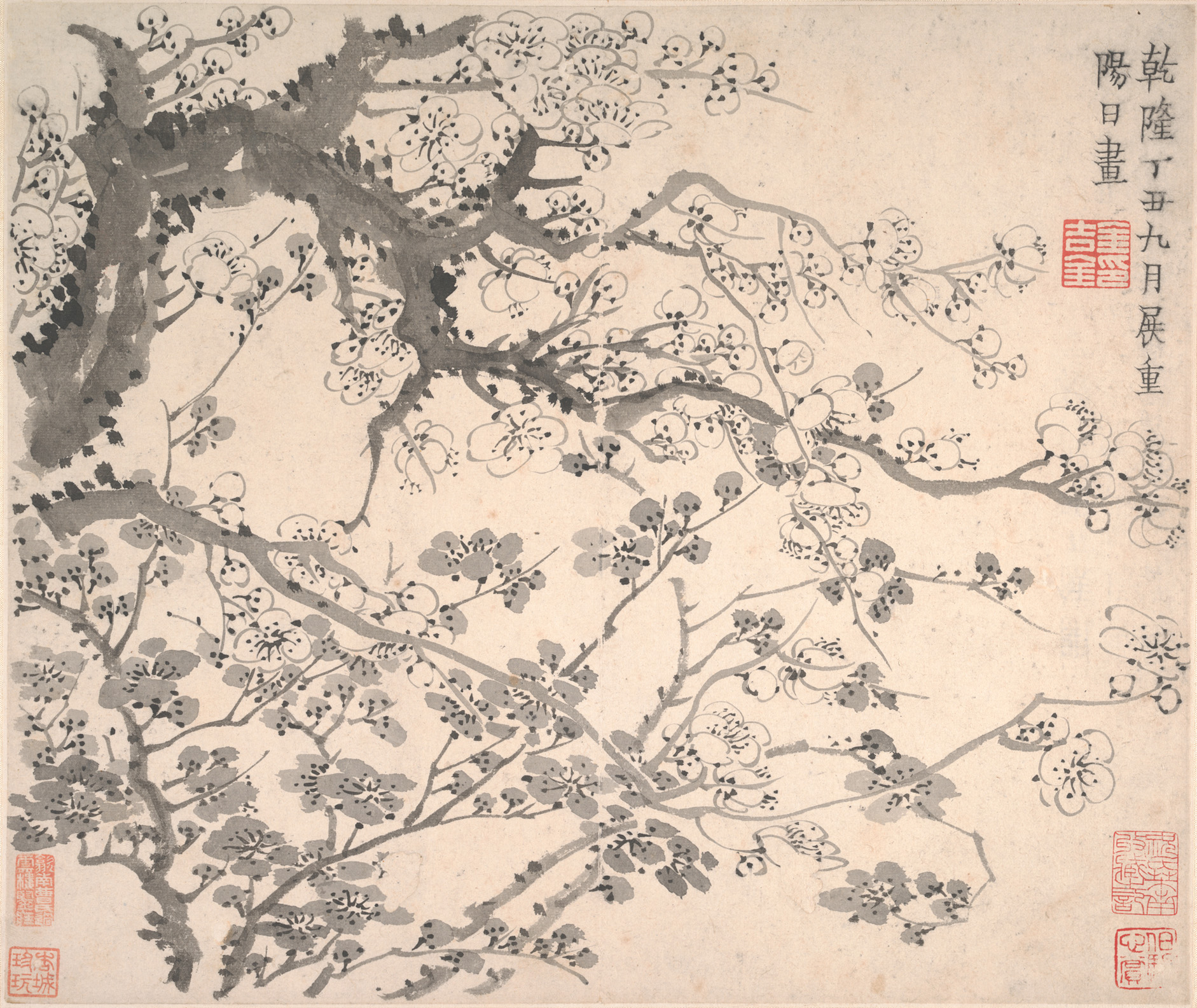 Άνθη δαμασκηνιάς by Jin Nong - 1757 - 25,4 x 29,8 εκ. 