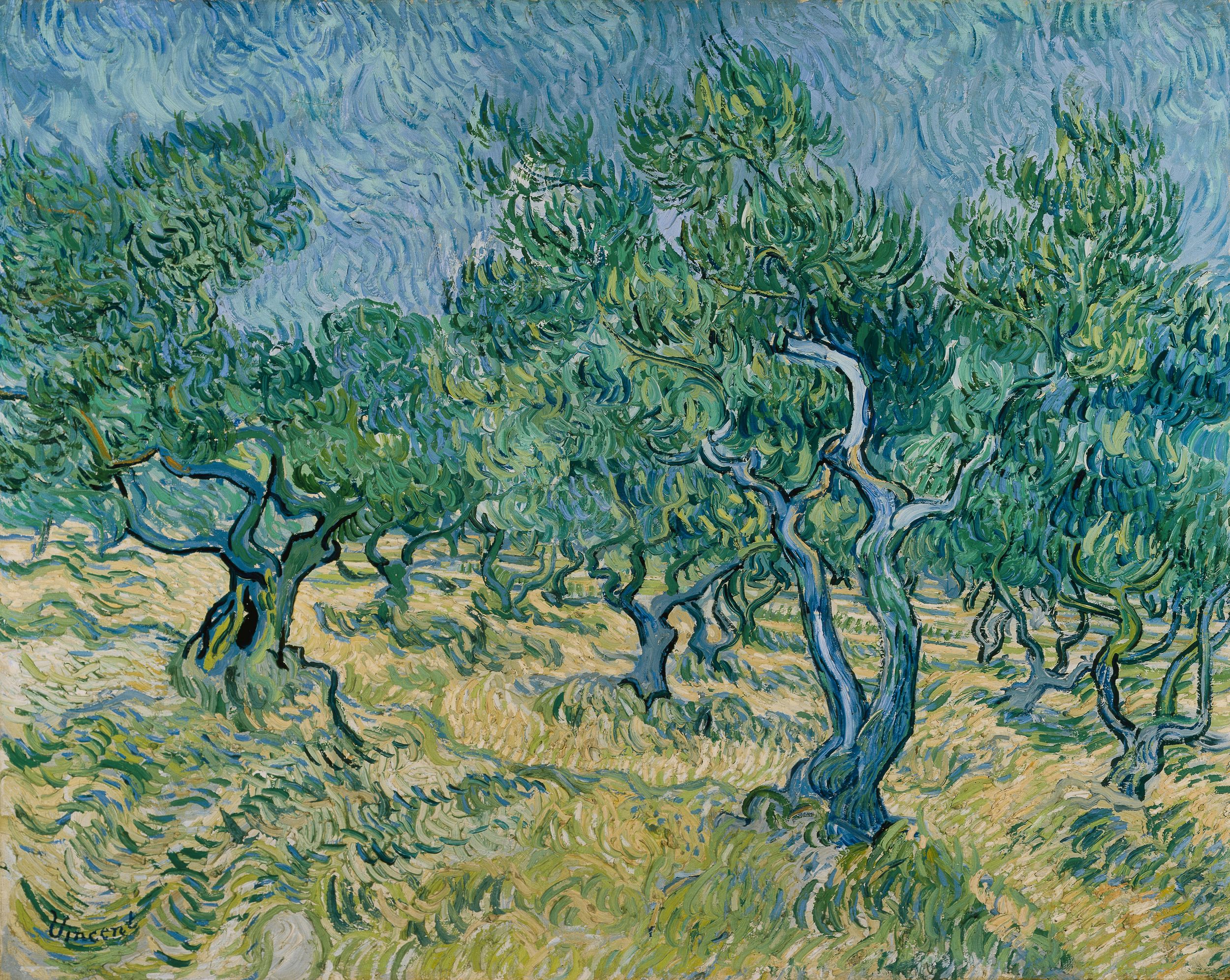 Olivar by Vincent van Gogh - 1889 - 72.4 x 91.9 cm Kröller-Müller Museum
