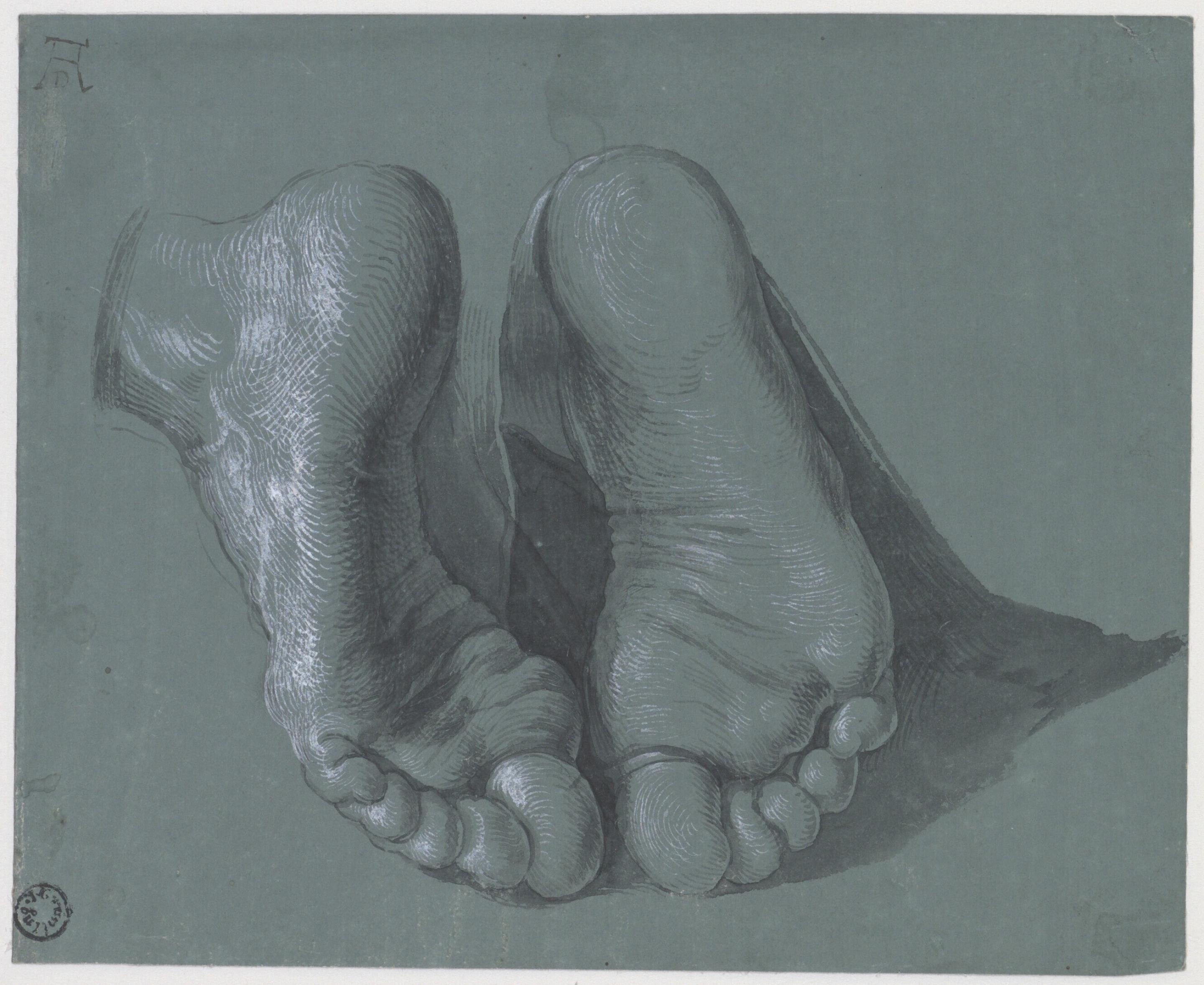 Estudo de dois pés by Albrecht Dürer - c. 1508 - 21,6 x 17,6 cm 